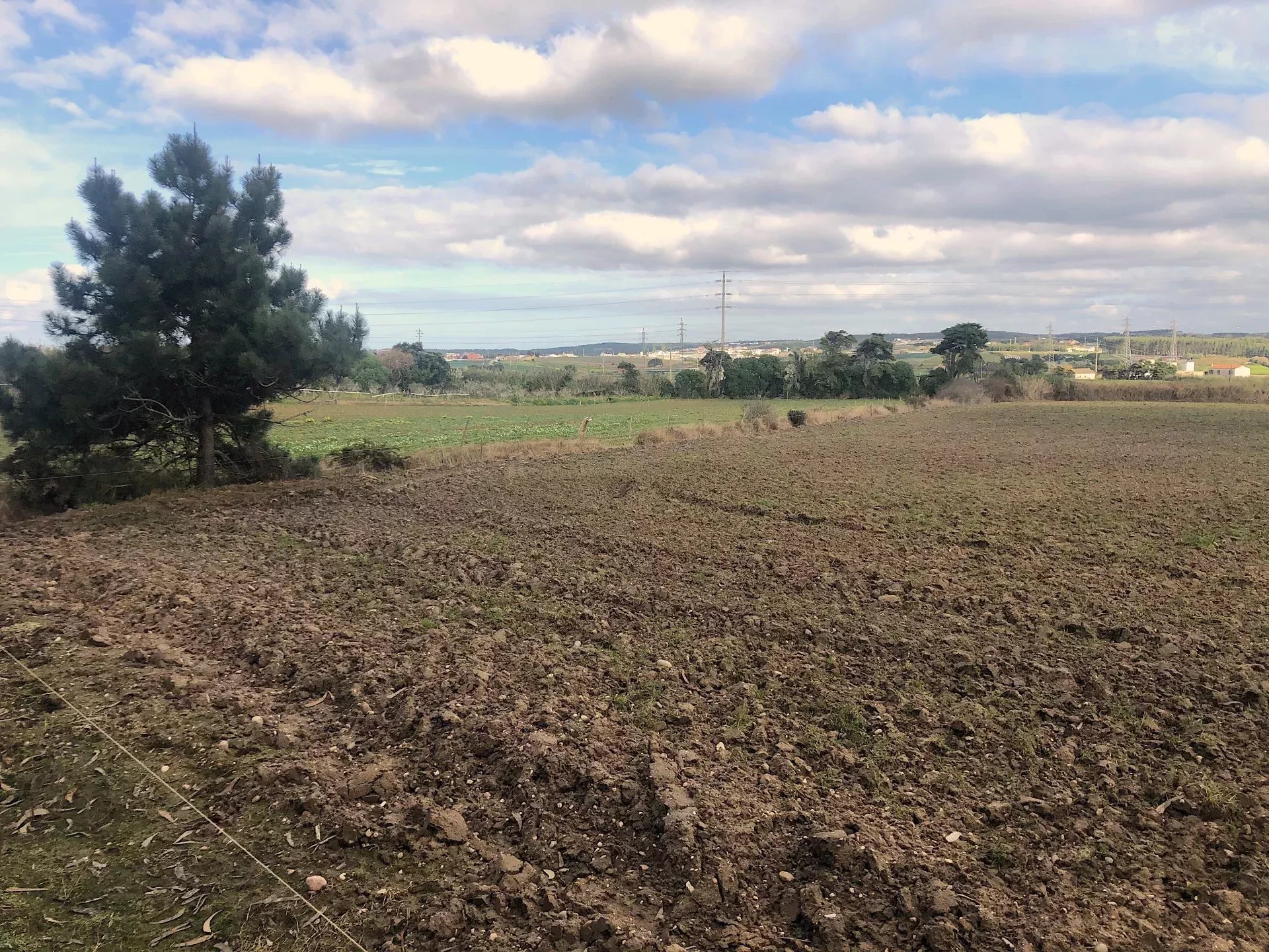 Terreno agrícola, indiviso, de 7000 m² na Vila de Atouguia Da Baleia