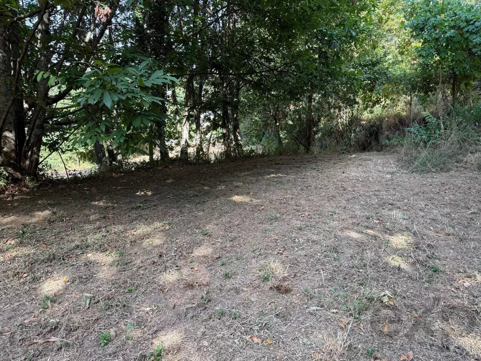Terreno à Venda em Aviture, Cinfães