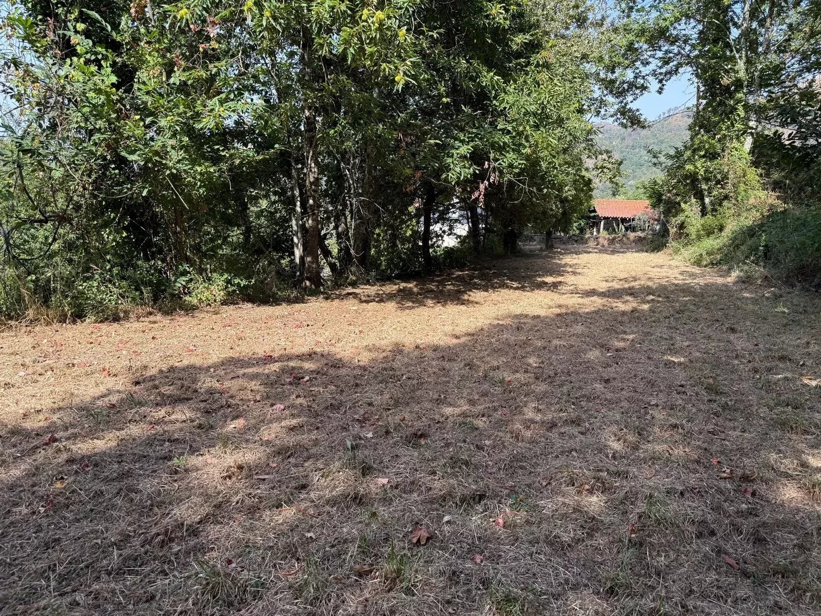 Terreno à Venda em Aviture, Cinfães