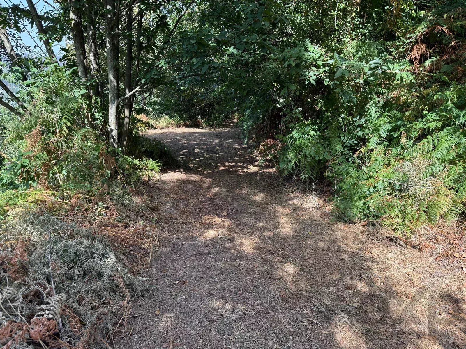 Terreno à Venda em Aviture, Cinfães