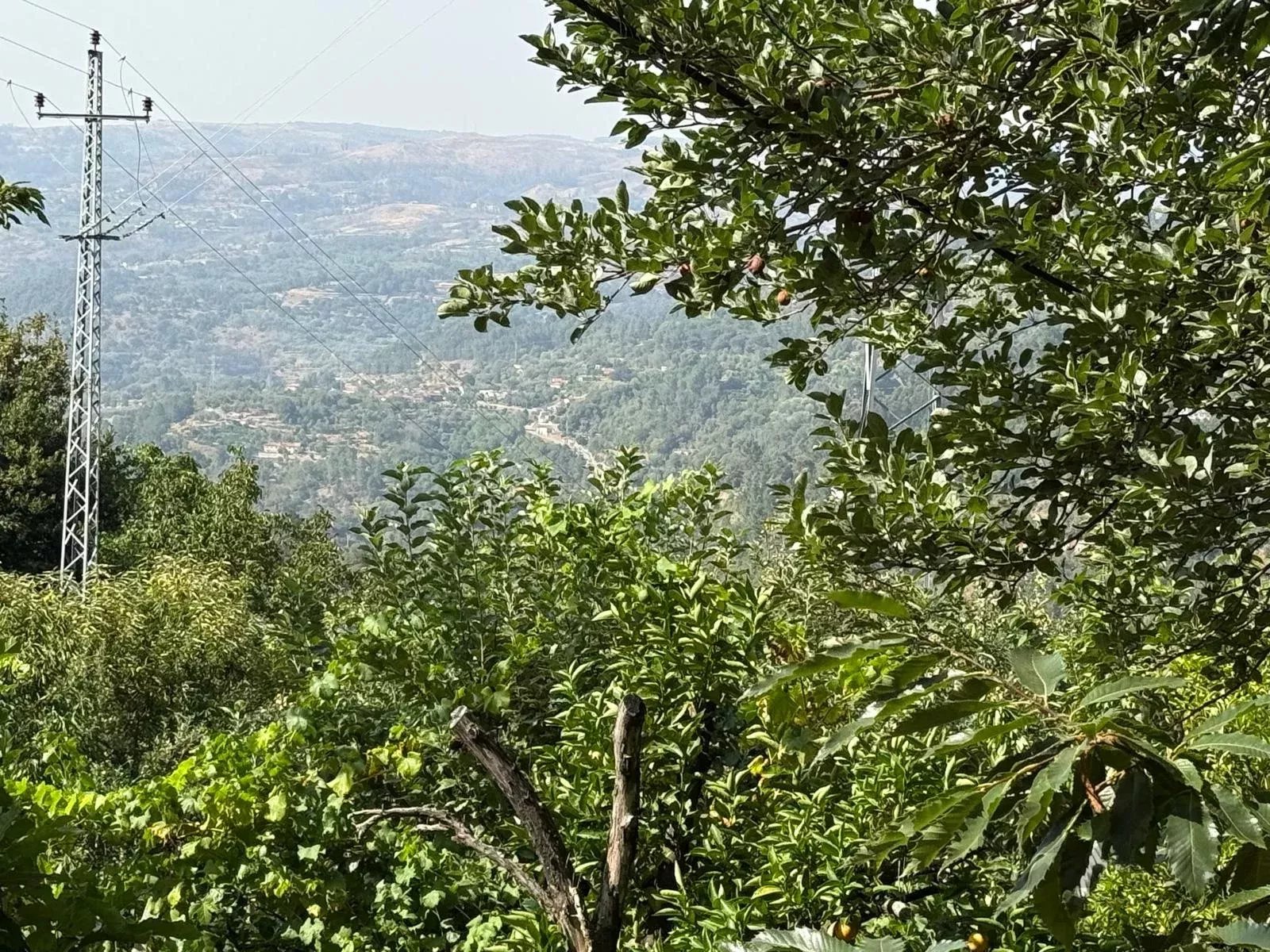 Terreno à Venda em Aviture, Cinfães