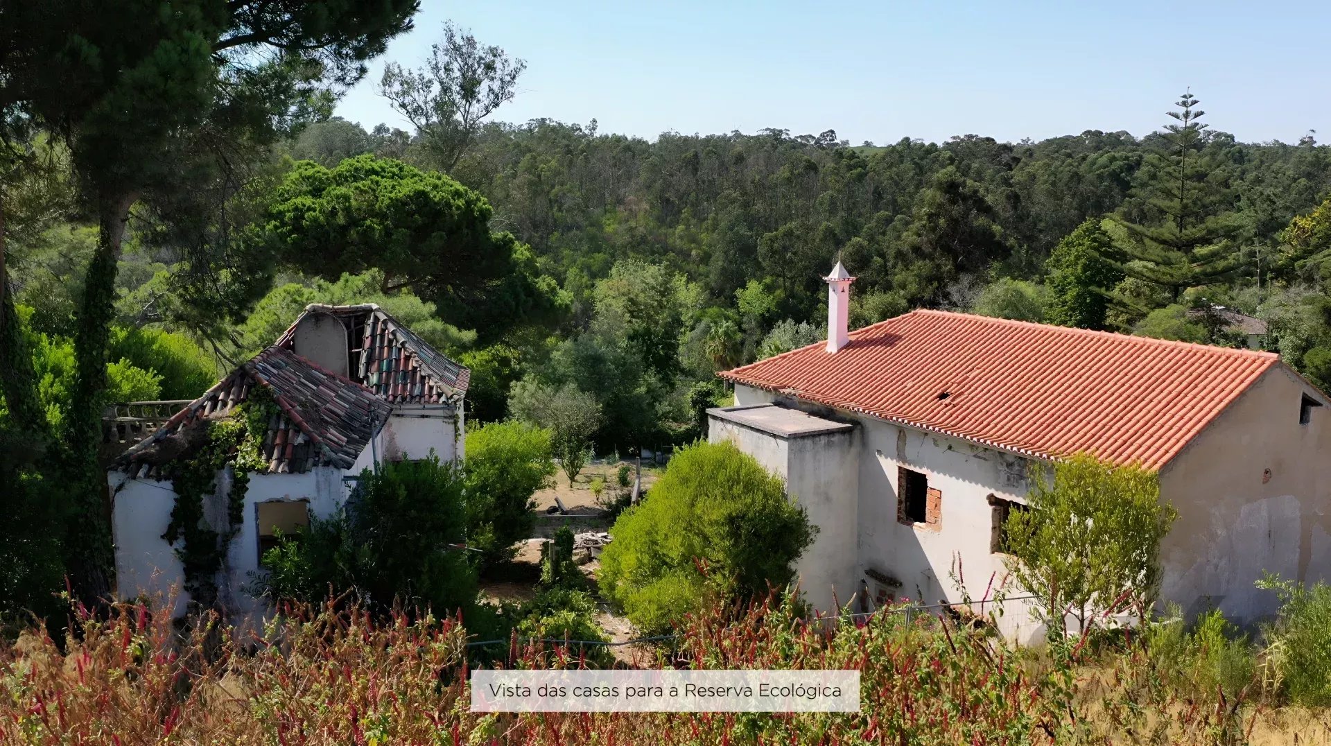 Casas na Falésia – Charneca de Caparica