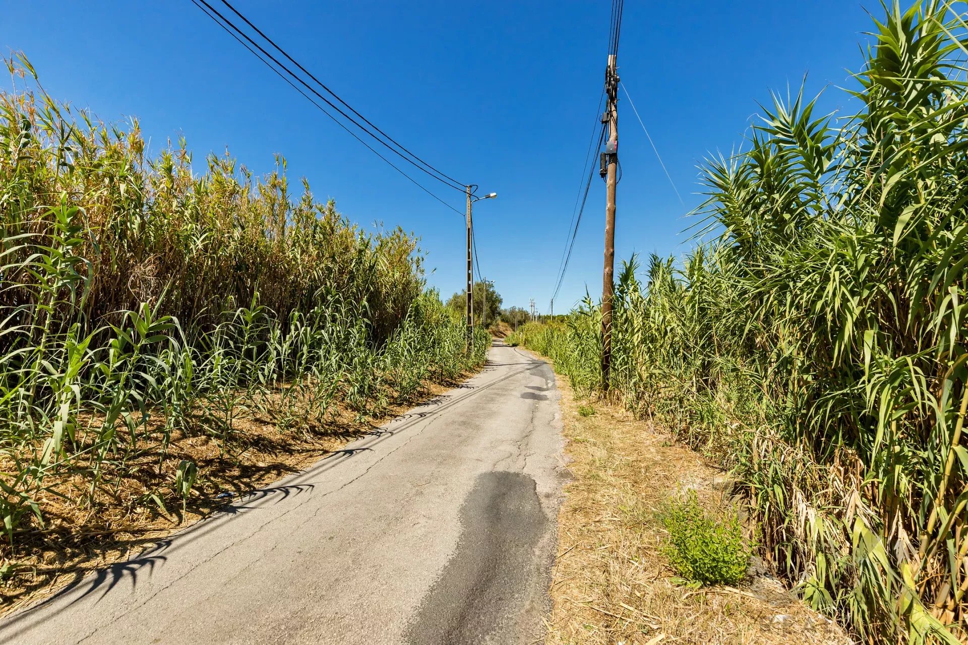 Land with a view of the Tag 86176491 image 16