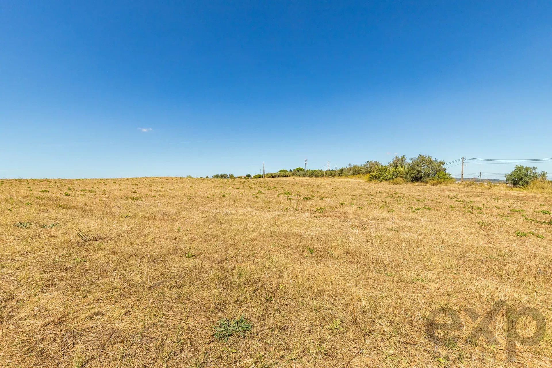 Land with a view of the Tag 86176491 image 9