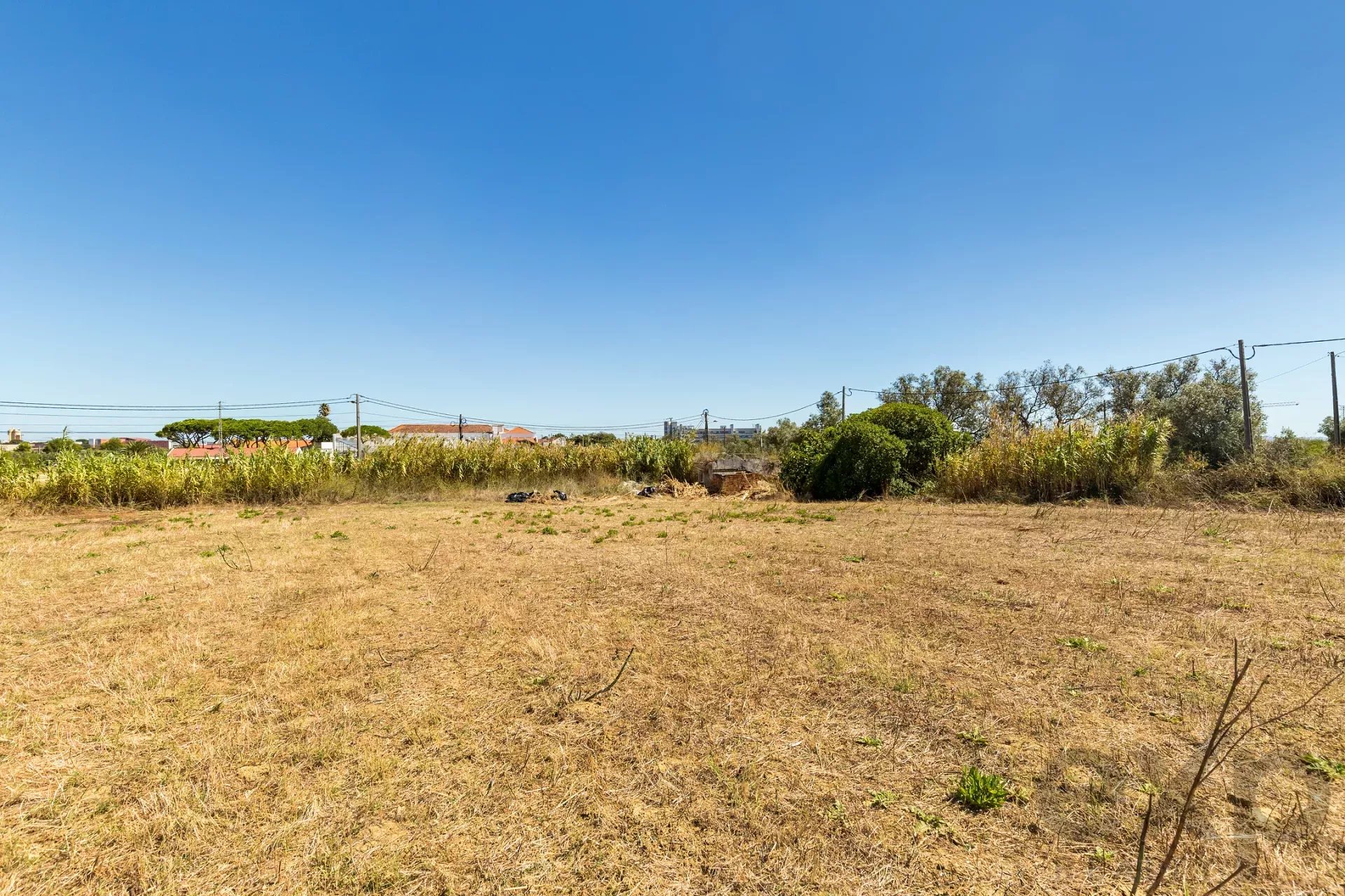 Land with a view of the Tag 86176491 image 8