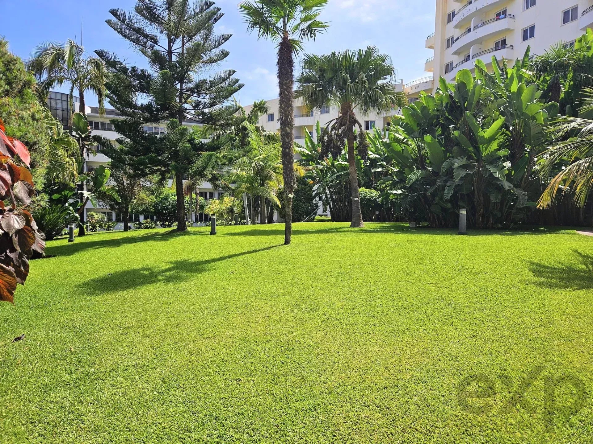 Apartamento Exclusivo no Funchal - Forum