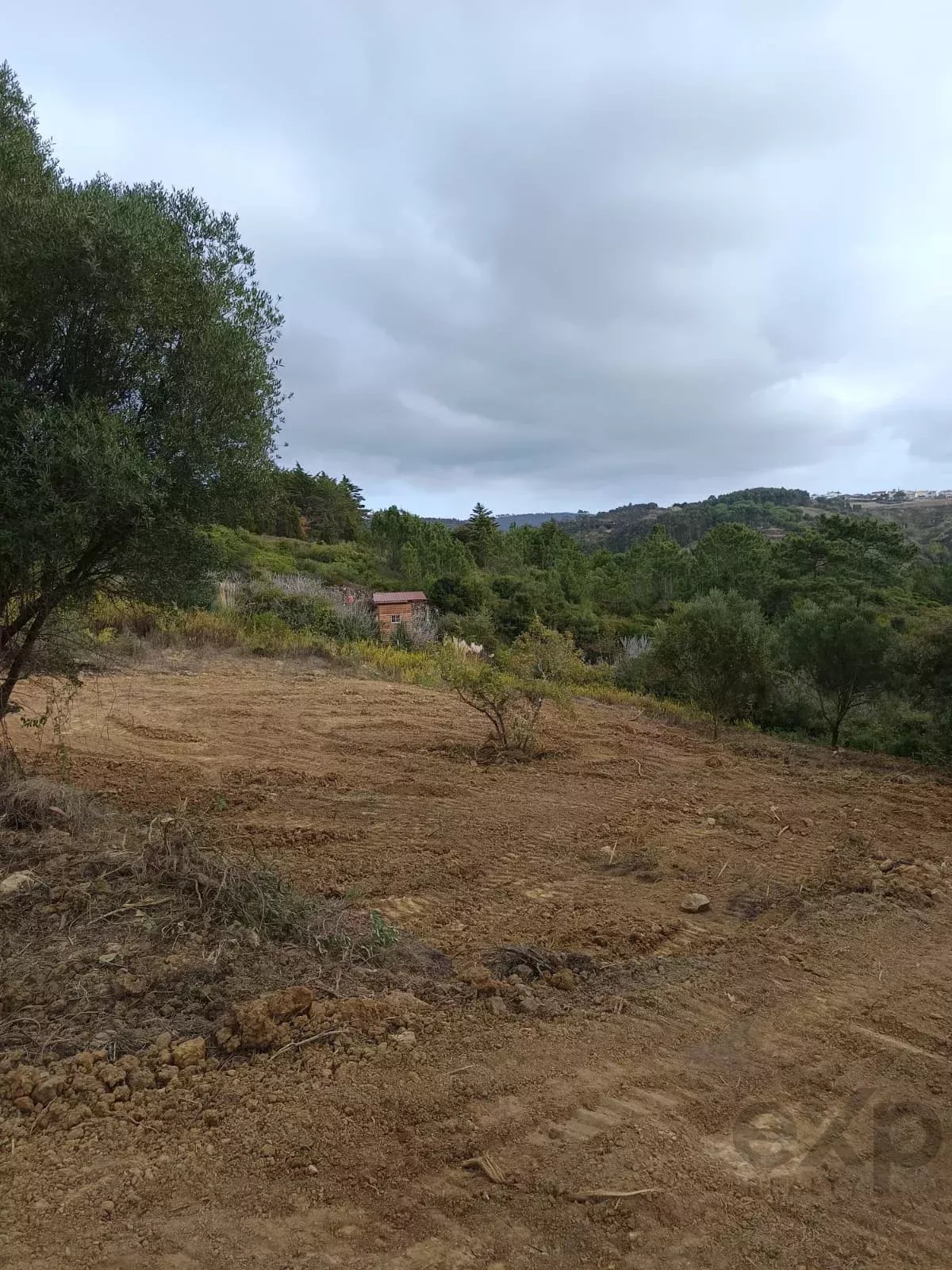 “Dabril”, Terreno Rústico em Mafra