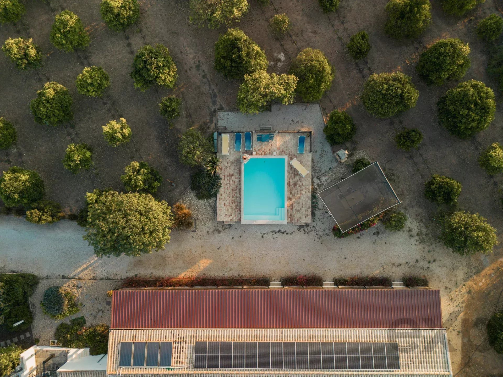Uma Herdade de 3,3 Hectares no Algarve: Um Refúgio no Campo em Pleno Funcionamento e com Rendimento Ativo