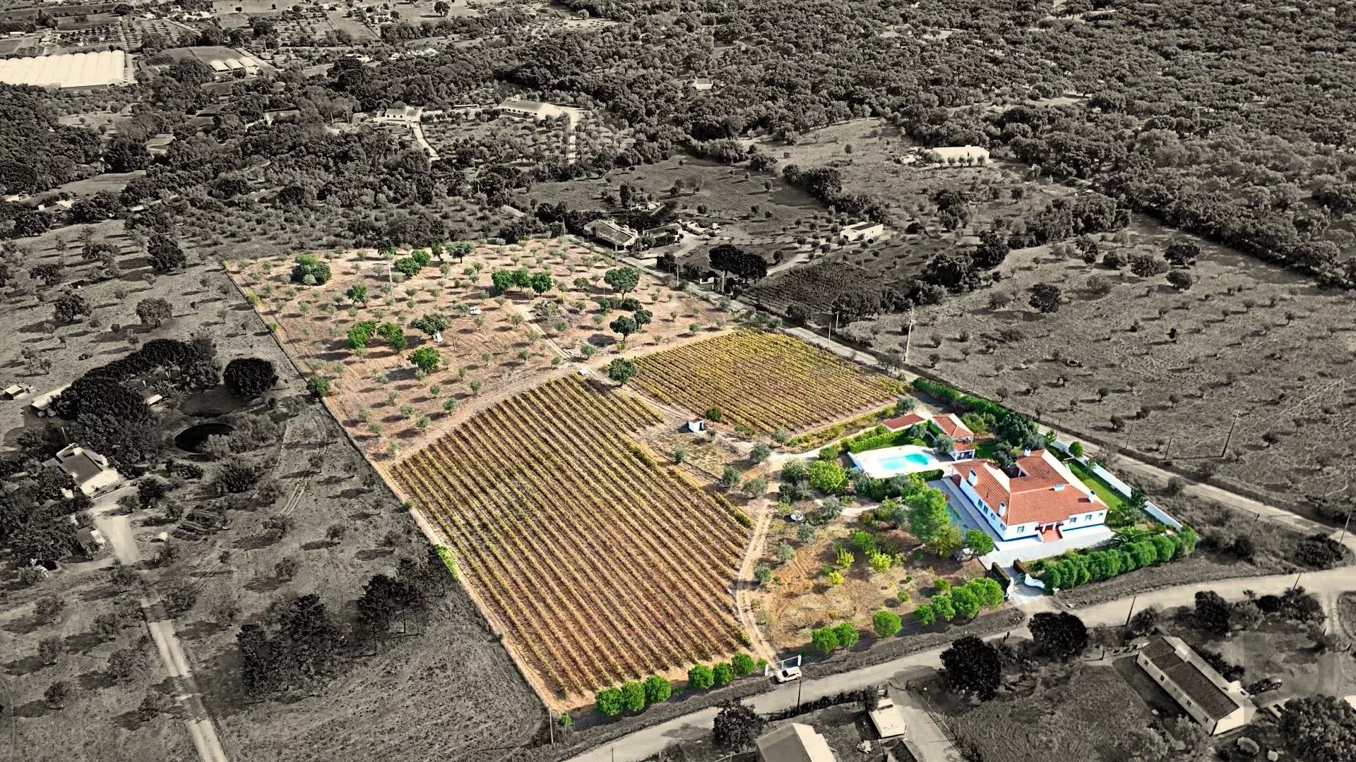 Encantador Monte Alentejano e Quinta Vinícola 86384492 image 34