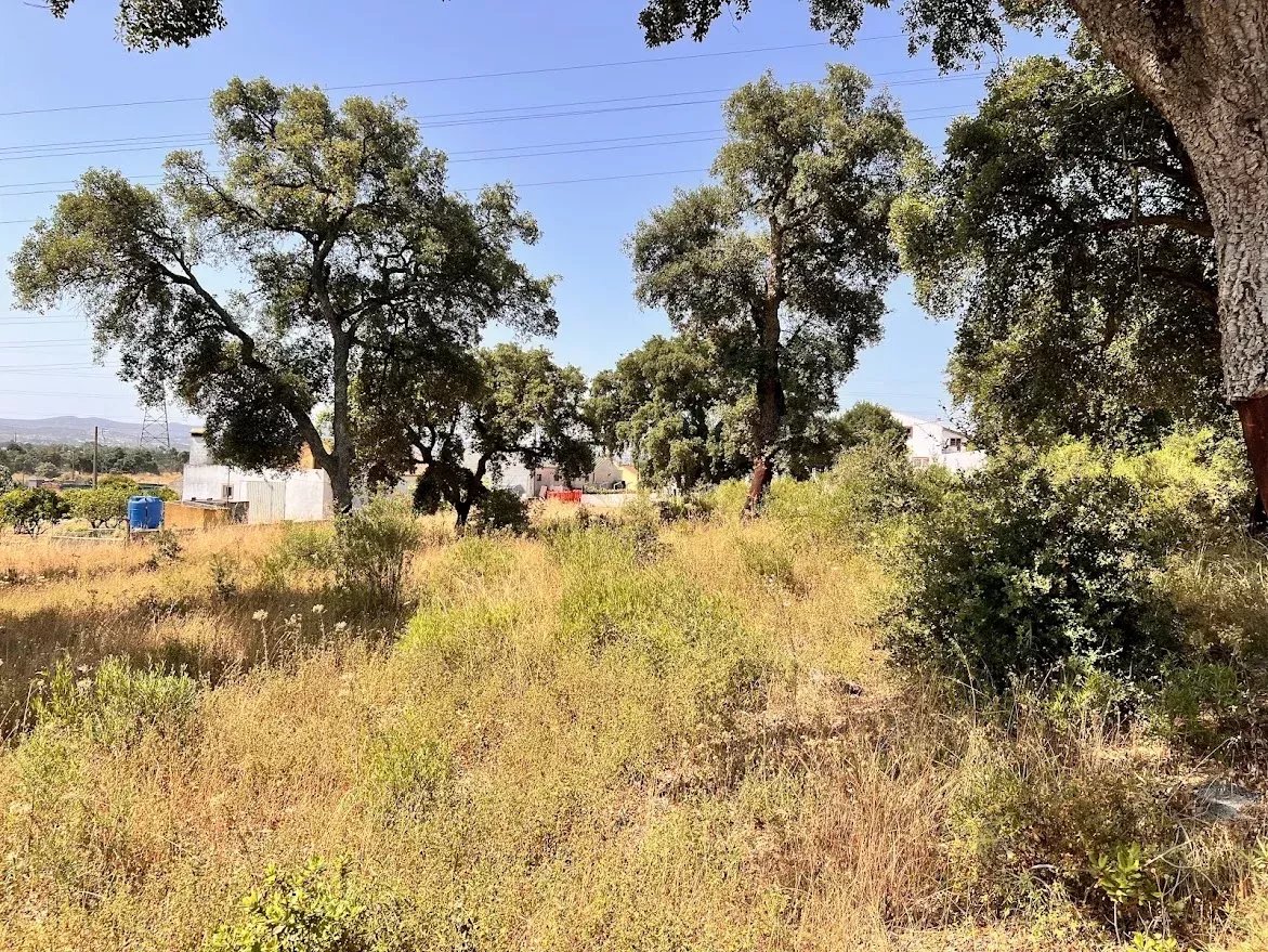 Terreno à Venda em Quinta do Anjo, 1854 m²