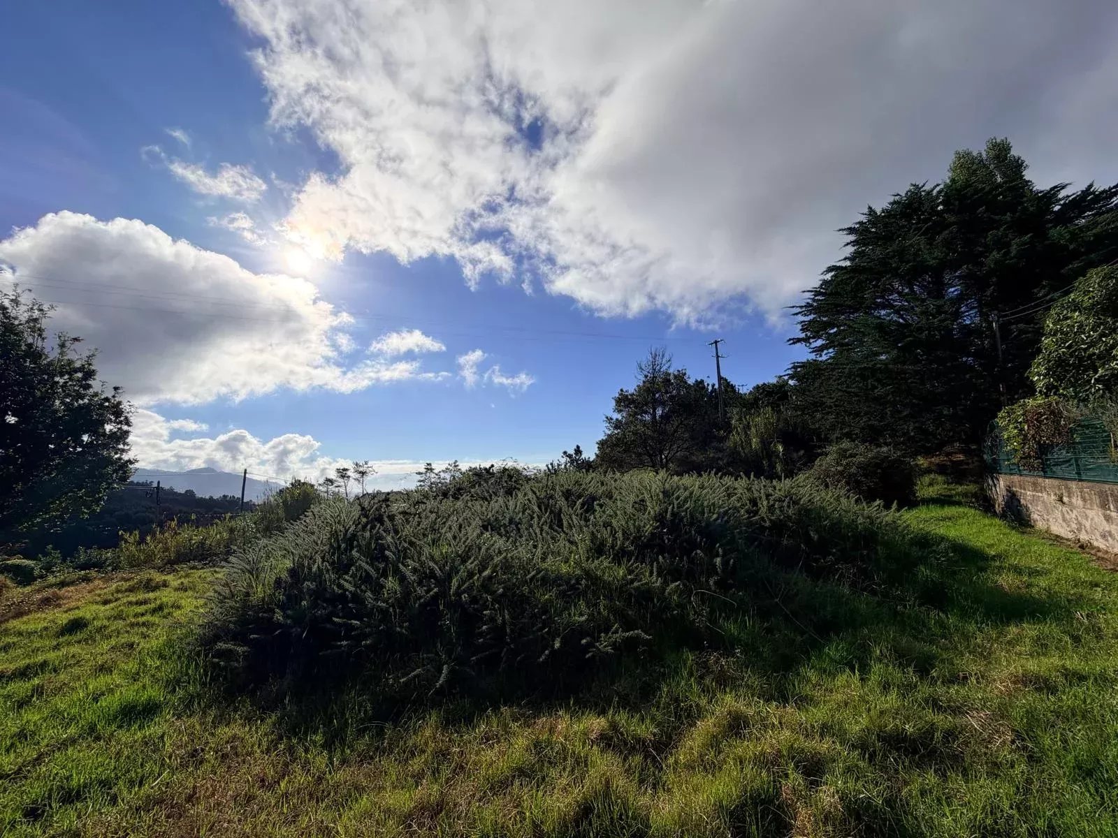Terreno em Prazeres - Calheta
