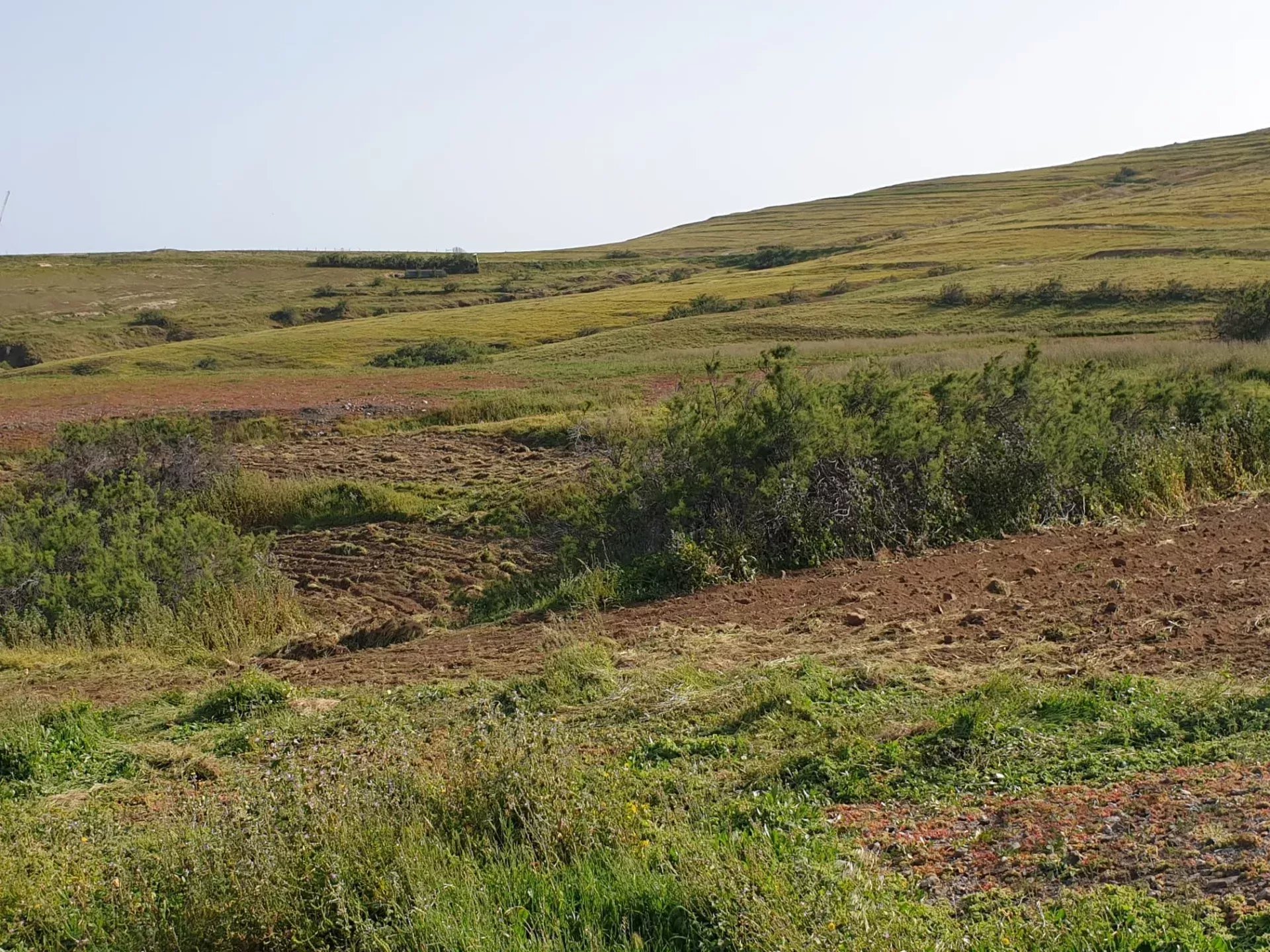 Terreno Excecional de 4160 m² no Porto Santo – Oportunidade Única de Investimento