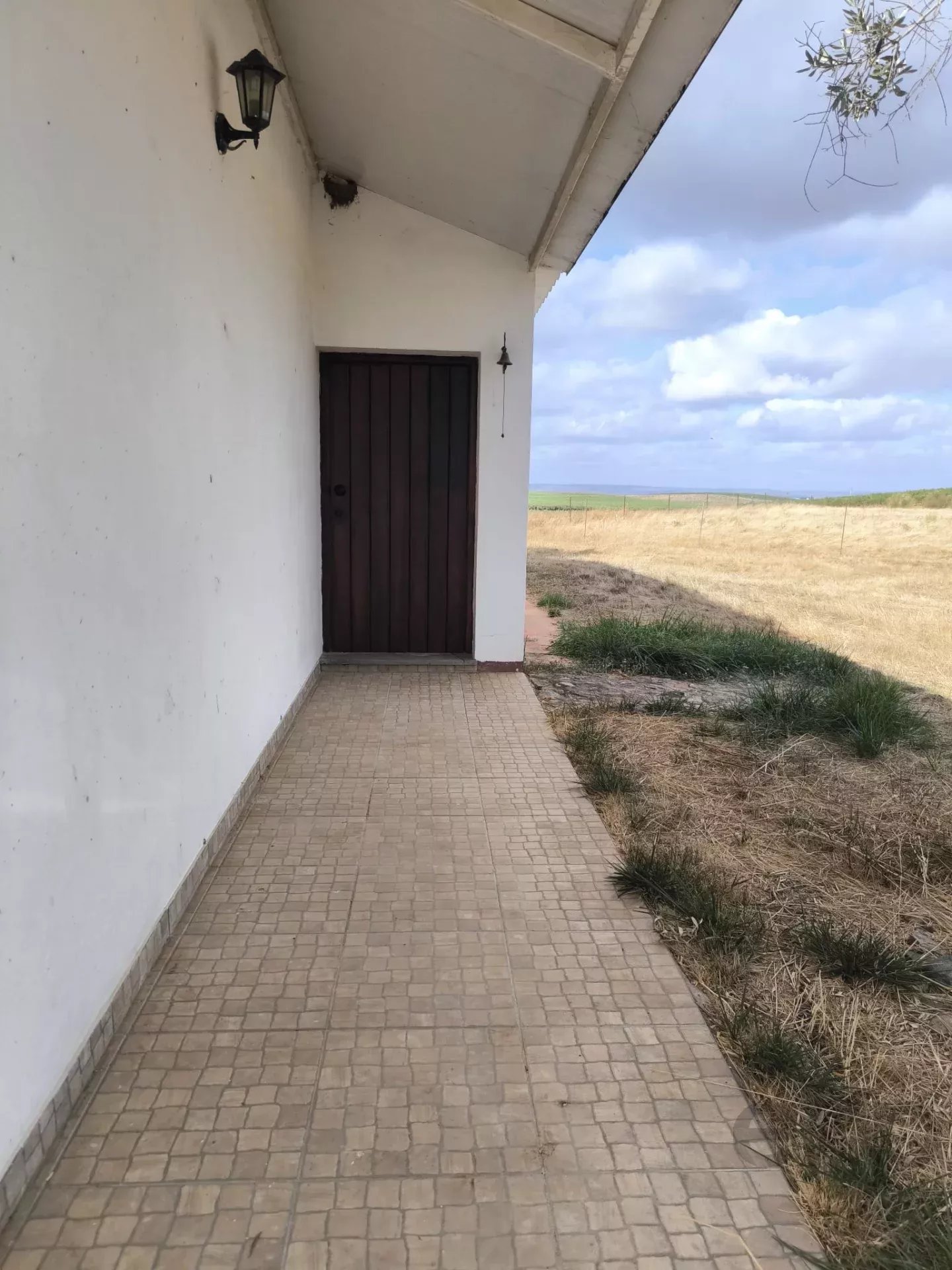 Quinta Sustentável com Piscina em Baleizão