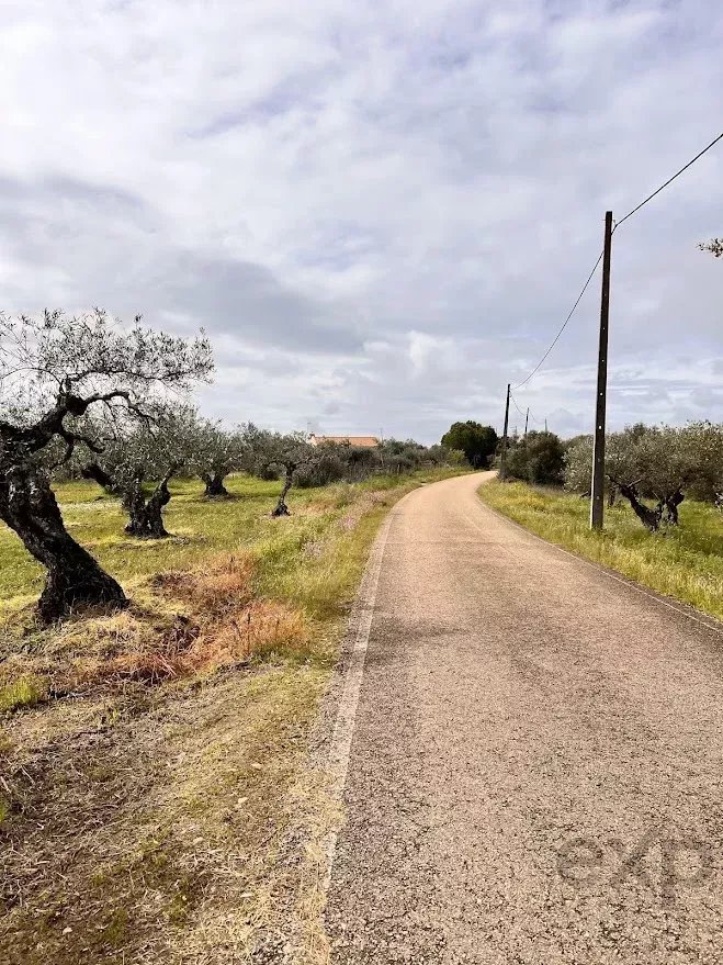 Terreno Agrícola 7.250 m² em Campo Maior