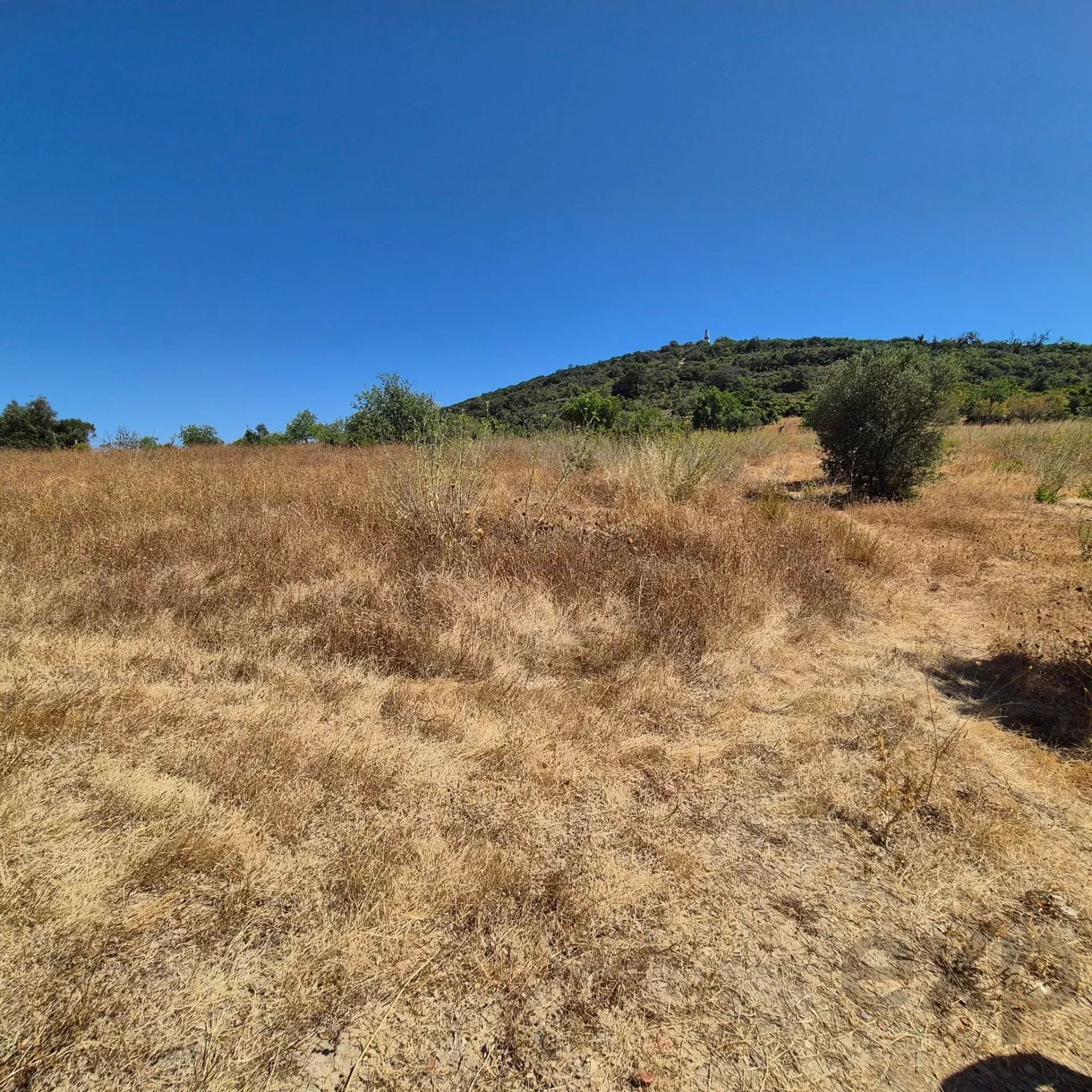 Terreno Rústico em Santa Bárbara de Nexe