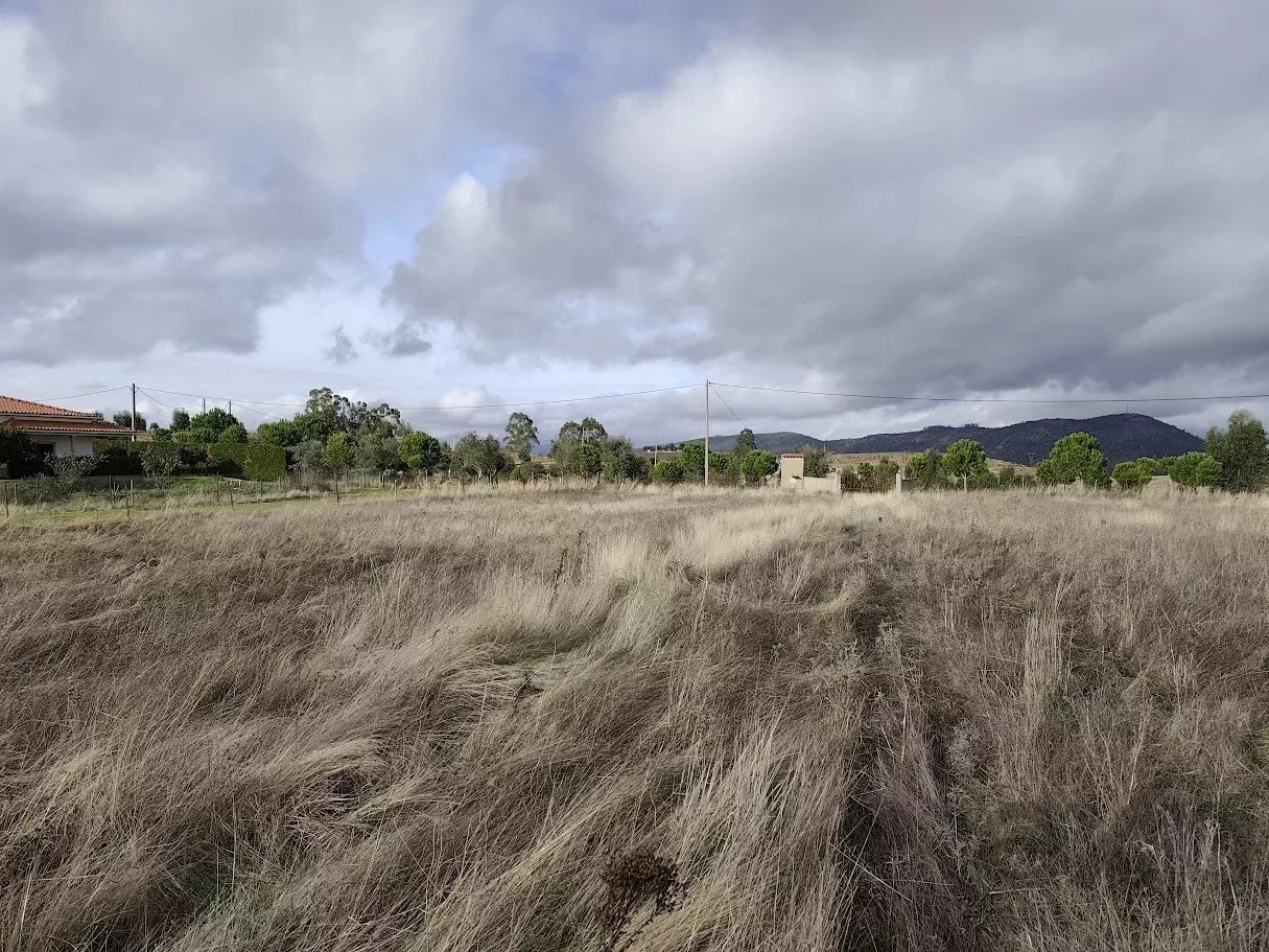 Terreno com dependência agricola