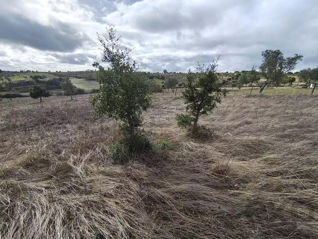 Terreno com dependência agricola