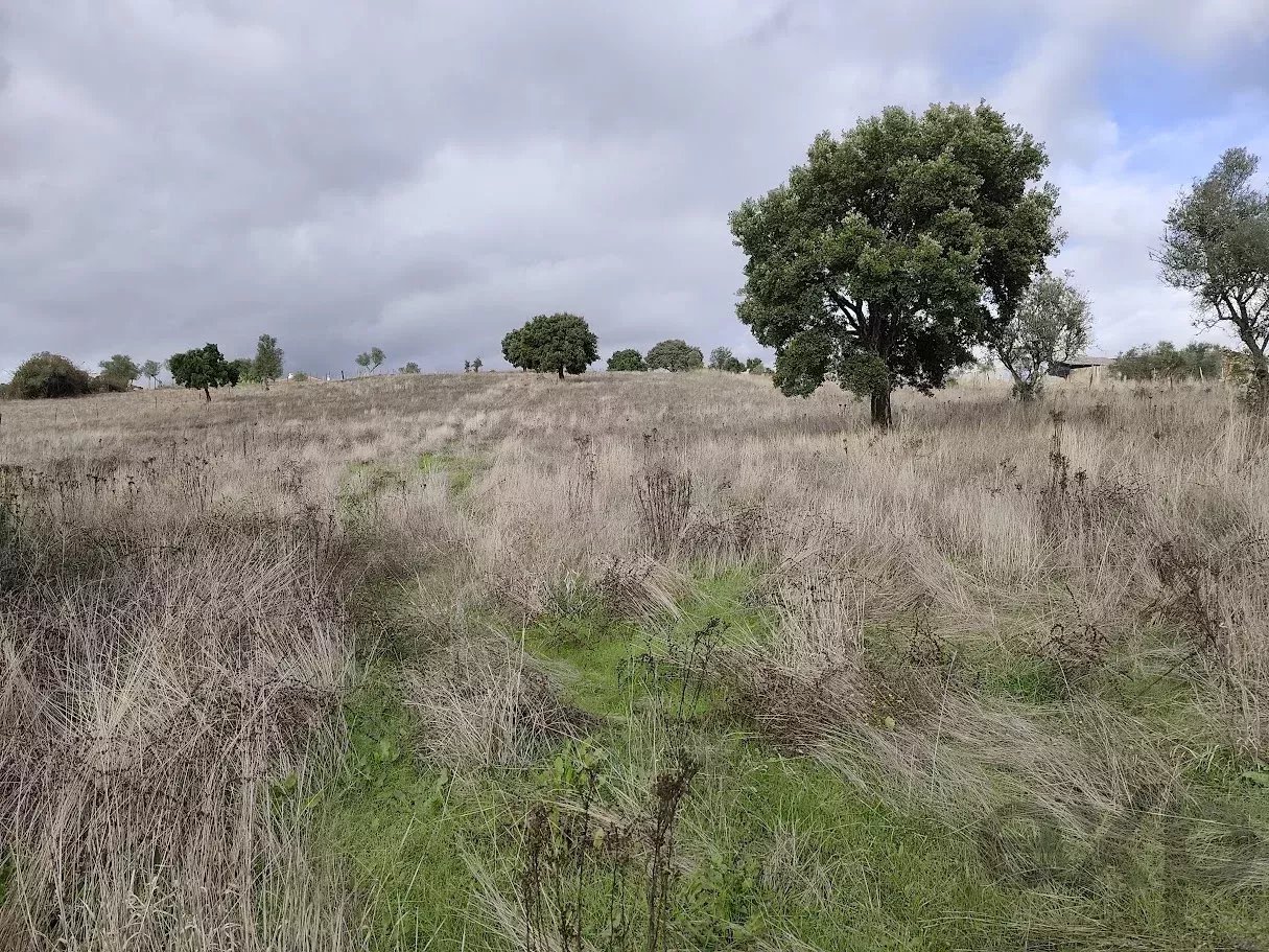 Terreno com dependência agricola