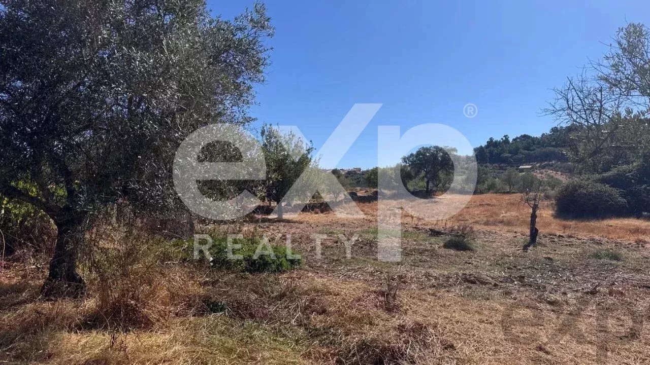 Terreno à venda – 4.360 m² em Aranhas, Penamacor