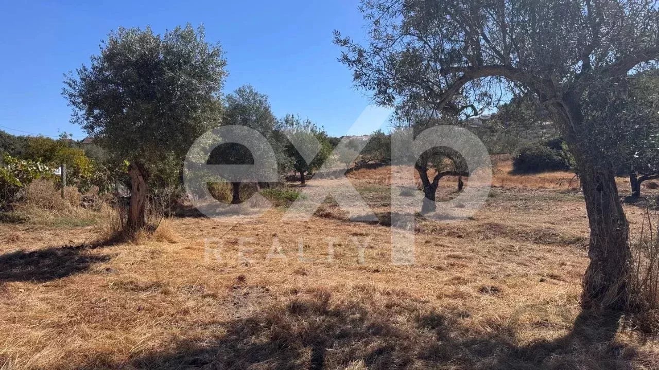 Terreno à venda – 4.360 m² em Aranhas, Penamacor