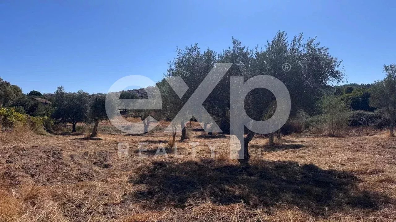 Terreno à venda – 4.360 m² em Aranhas, Penamacor