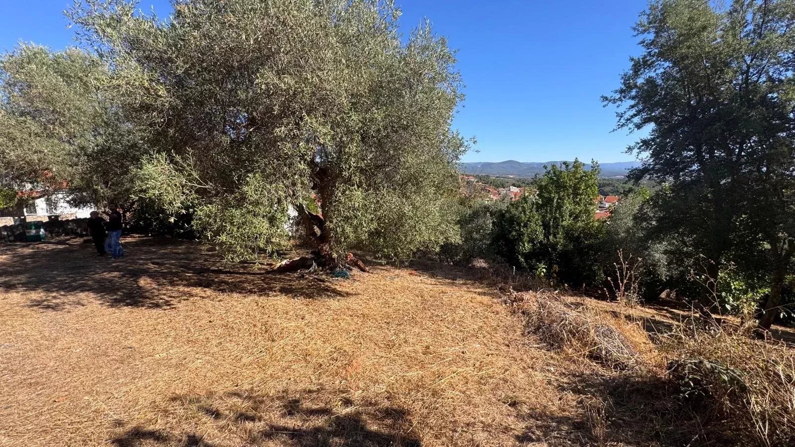 Terreno com vista deslumbrante – 5.600 m² em Aranhas