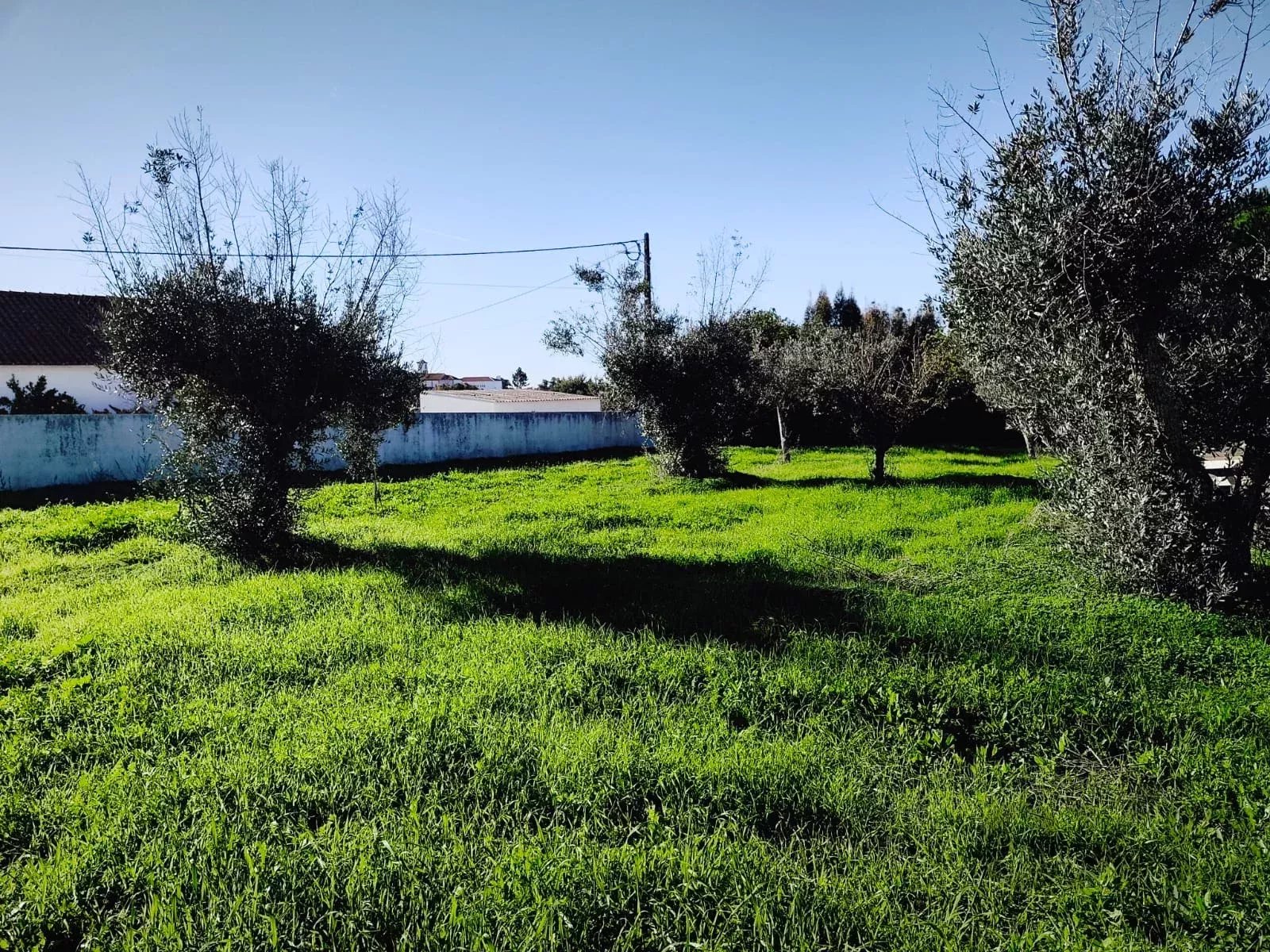 Terreno