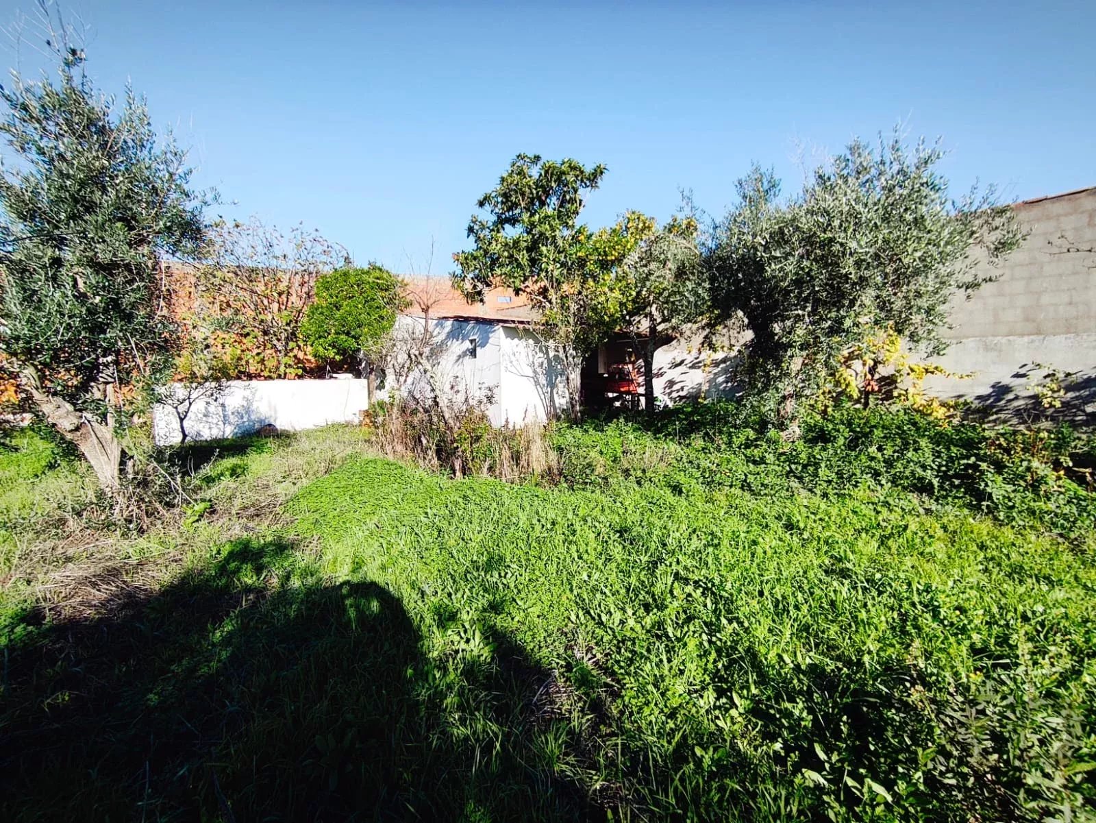 Terreno