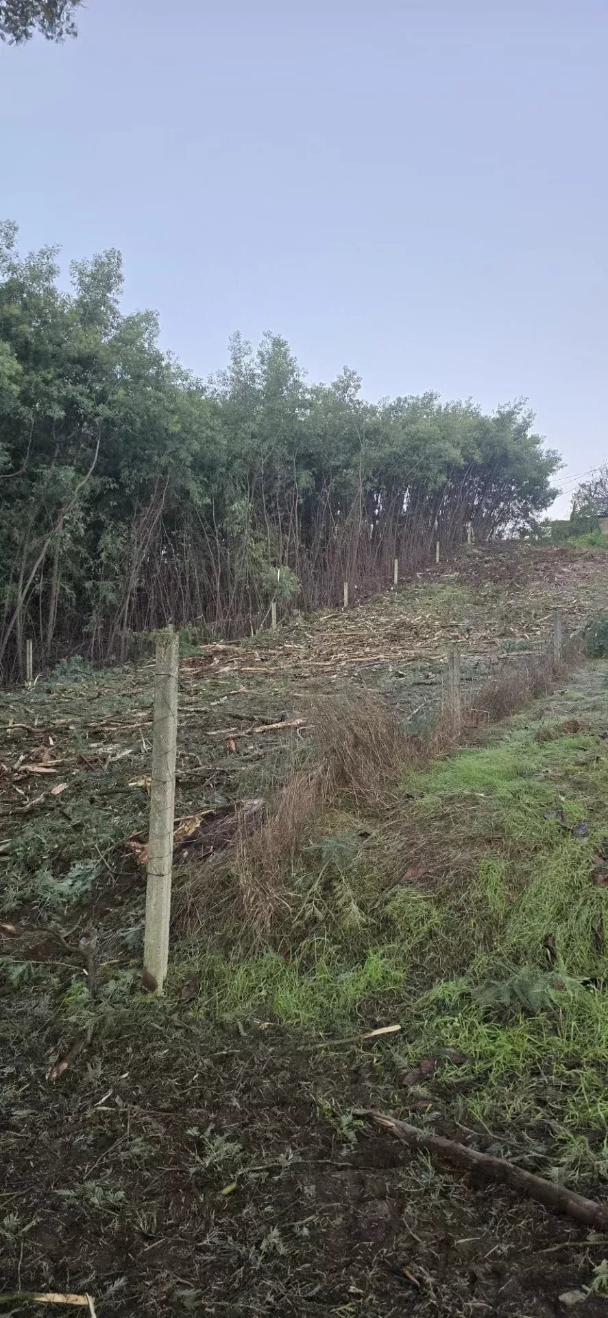 Onde o Sonho Encontra o Espaço Perfeito — Terreno Exclusivo no Coração de Penafiel
