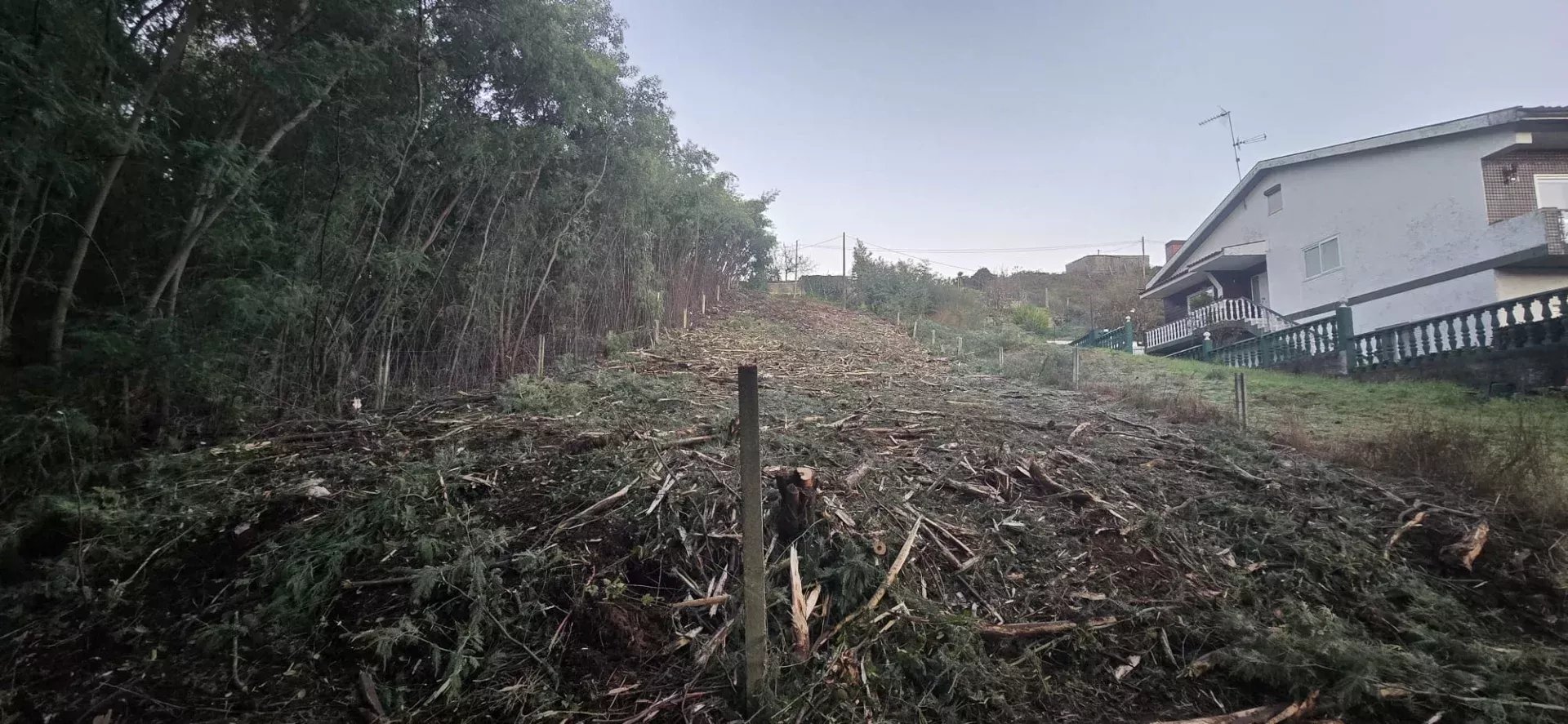 Onde o Sonho Encontra o Espaço Perfeito — Terreno Exclusivo no Coração de Penafiel