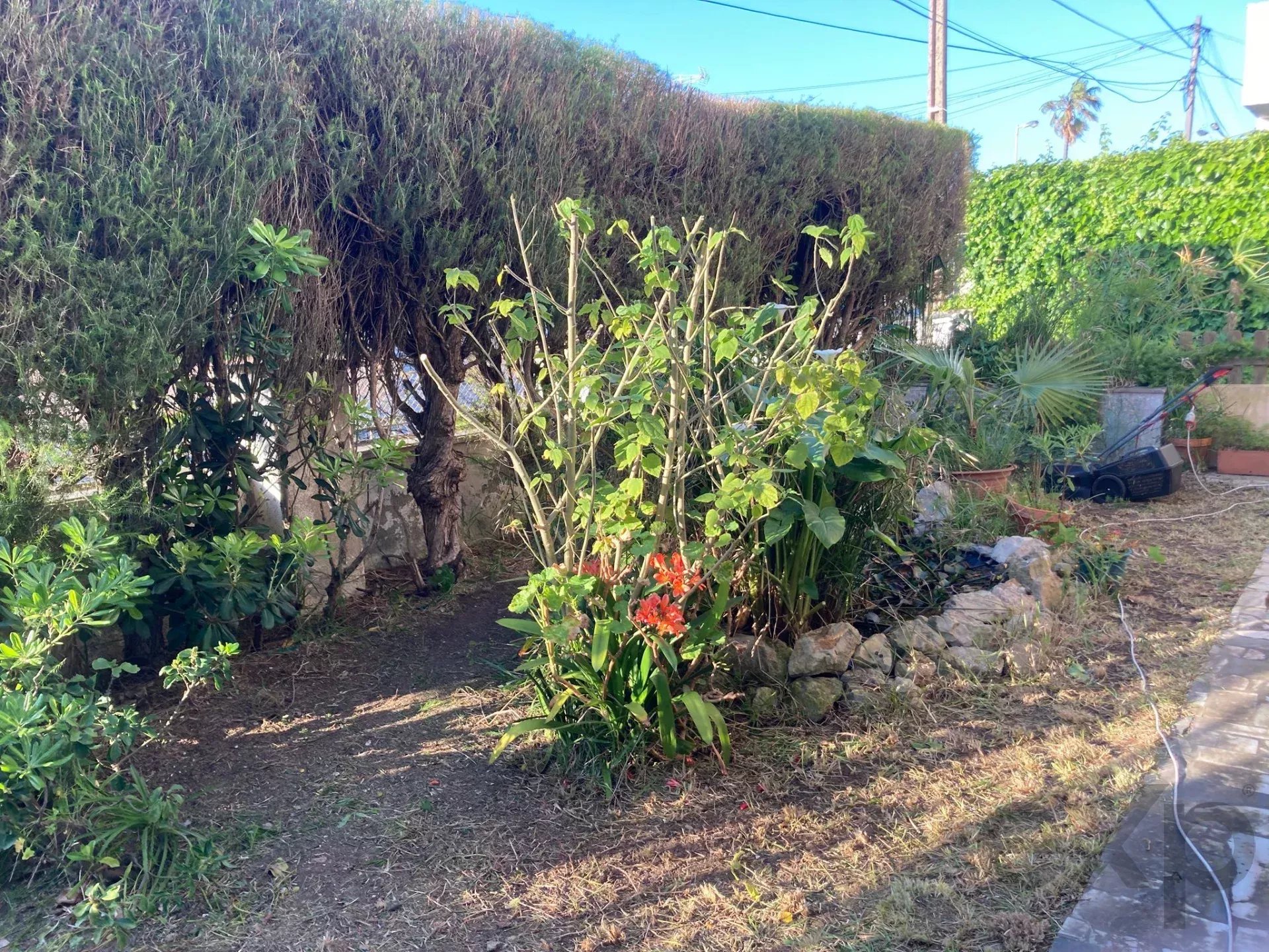 Propriedade Térrea composta por 2 apartamentos T2 e jardim comum