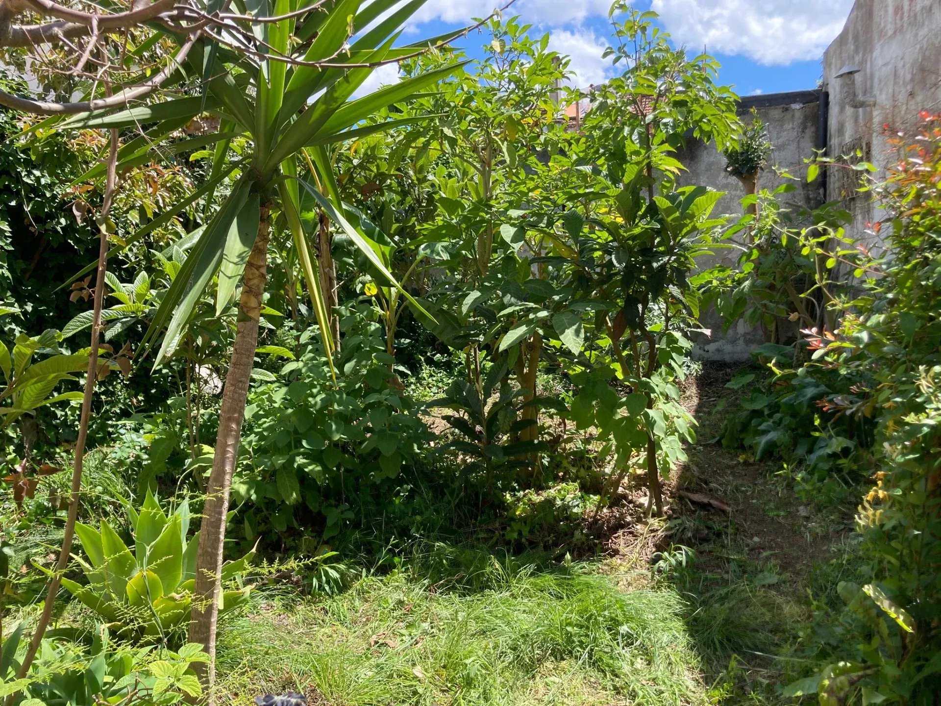 Ground‑floor property comprising two T2 apartments and a common garden 86468104 image 21