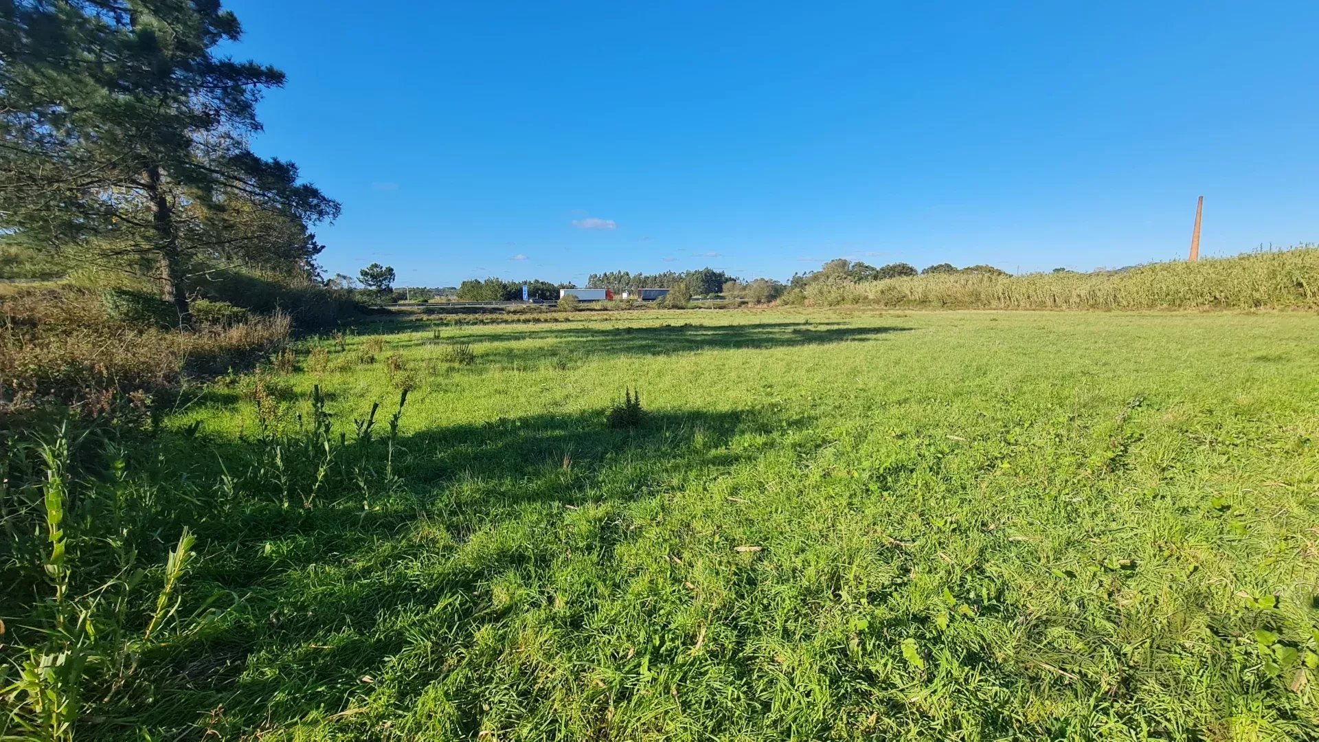 Terreno plano, com 16.947 m², para desenvolvimento industrial/logístico, junto à autoestrada A8 (Lisboa/Leiria/Porto).