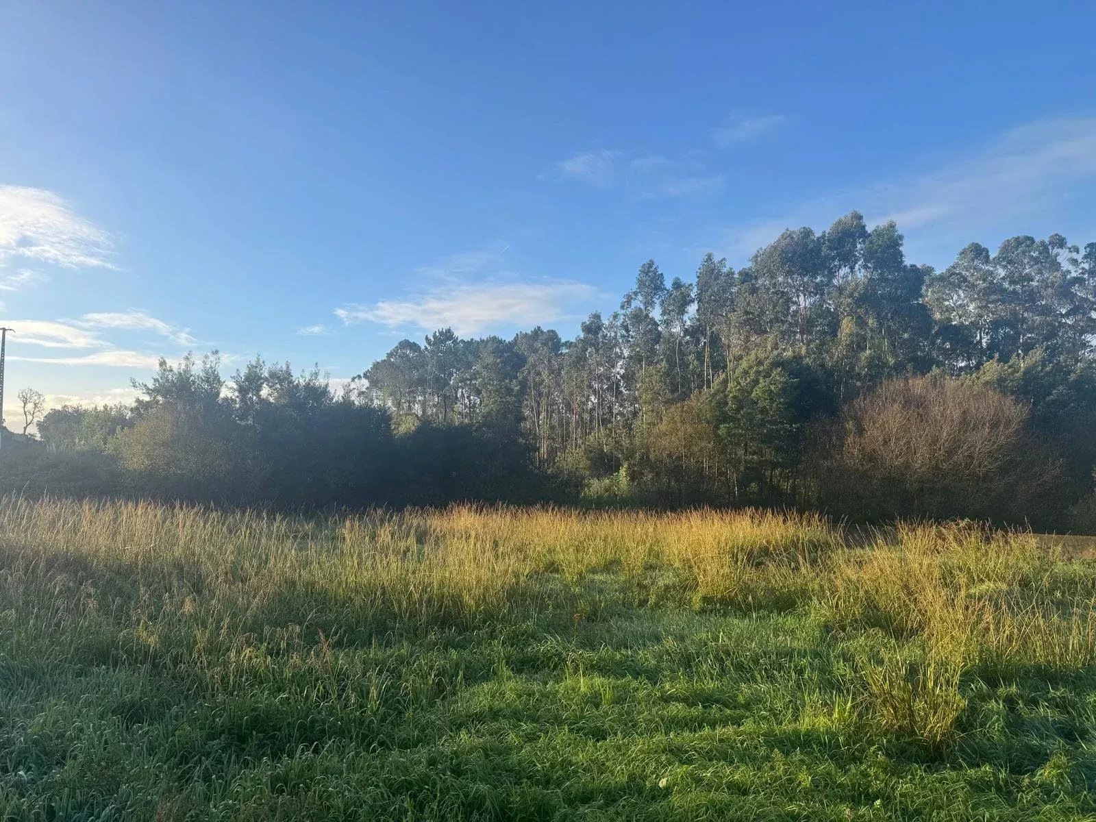 Terreno para construção