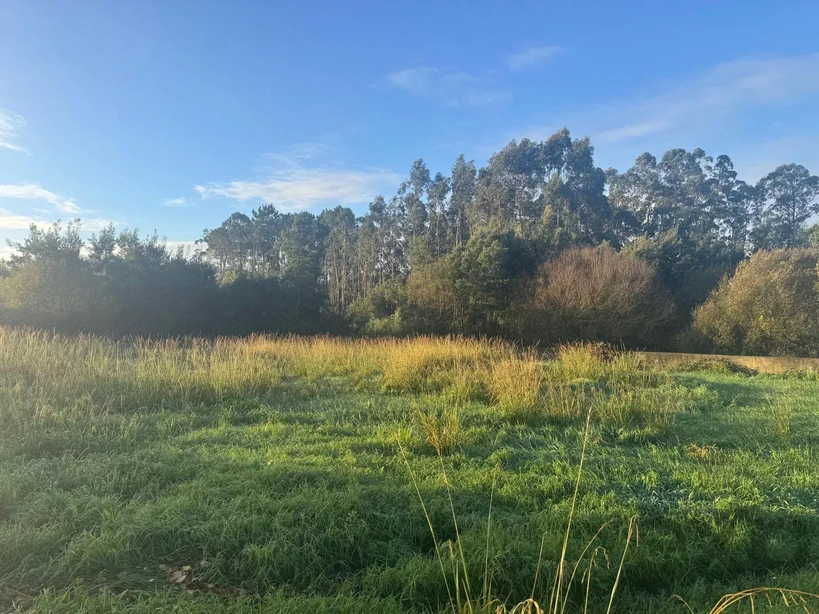 Terreno para construção