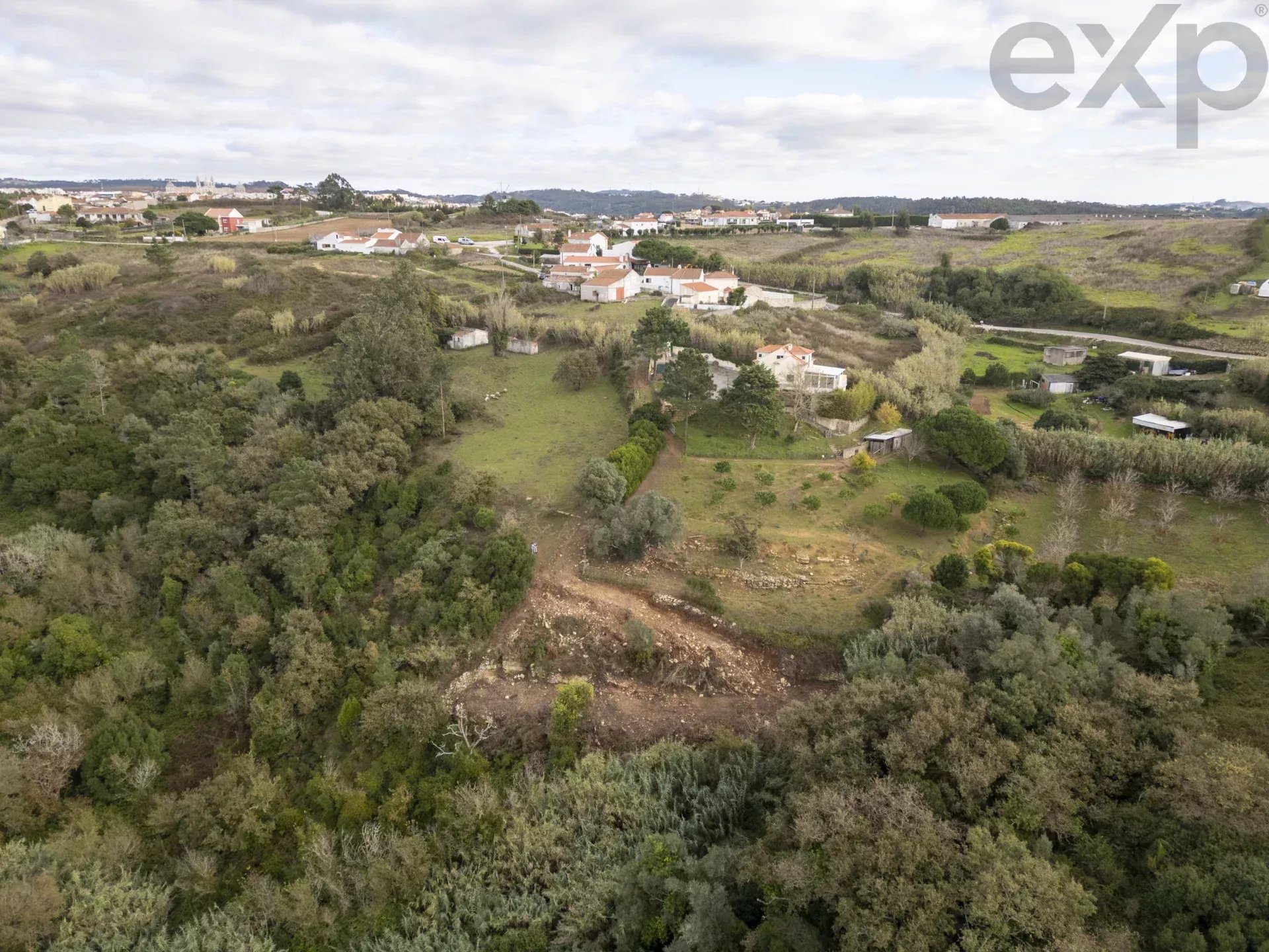 Pomar Novo - Coxo