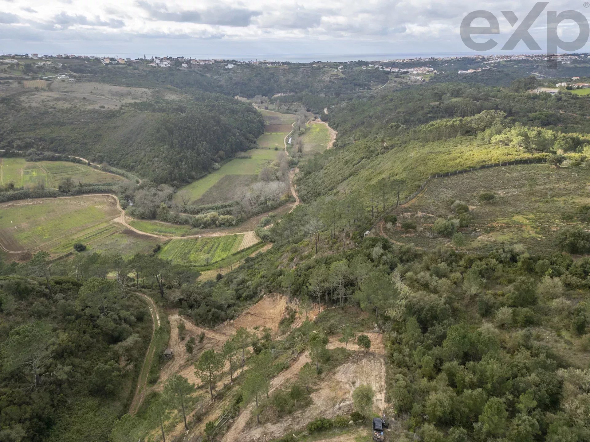 Vale da Pia - Montesouros