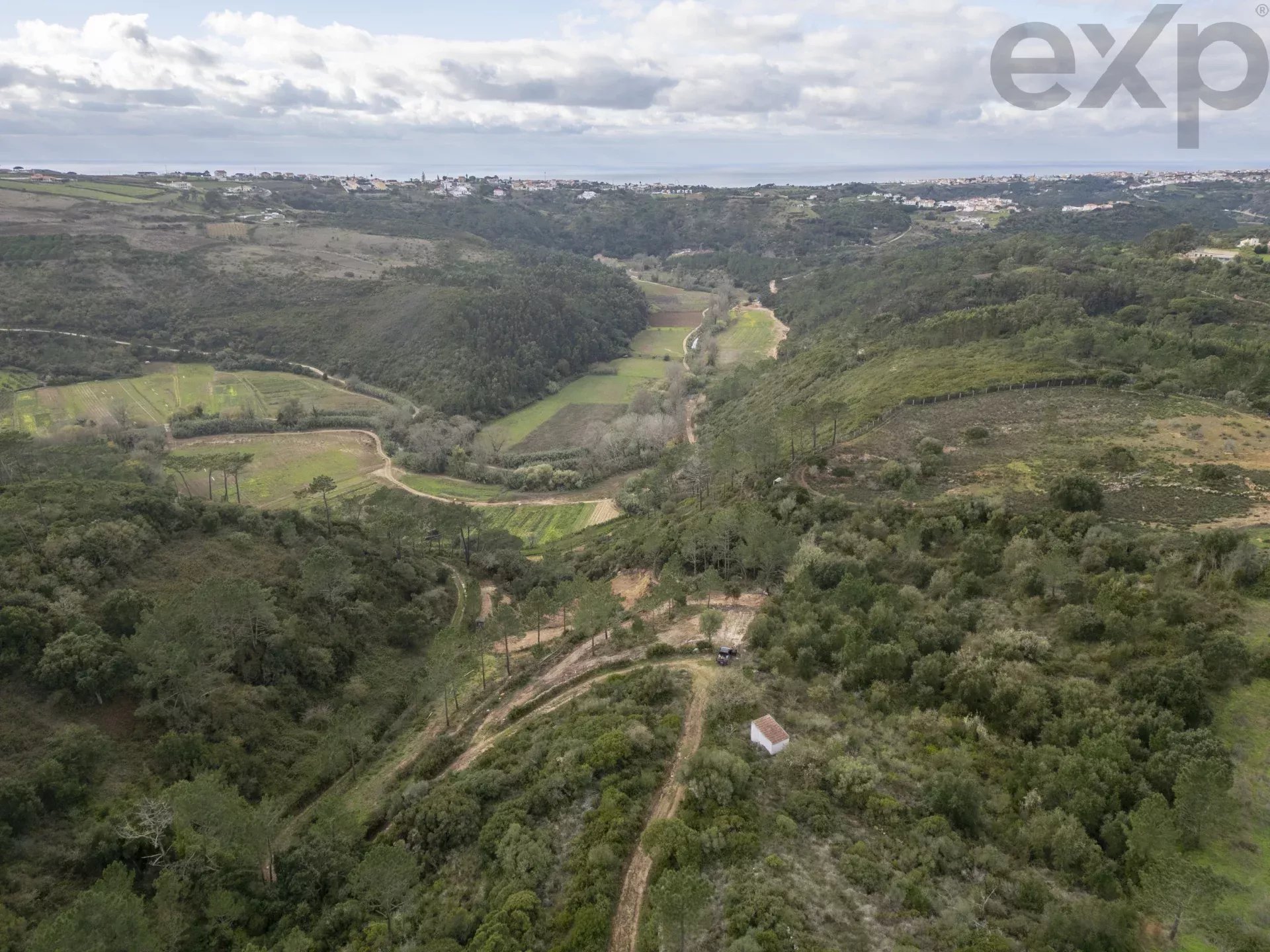 Vale da Pia - Montesouros