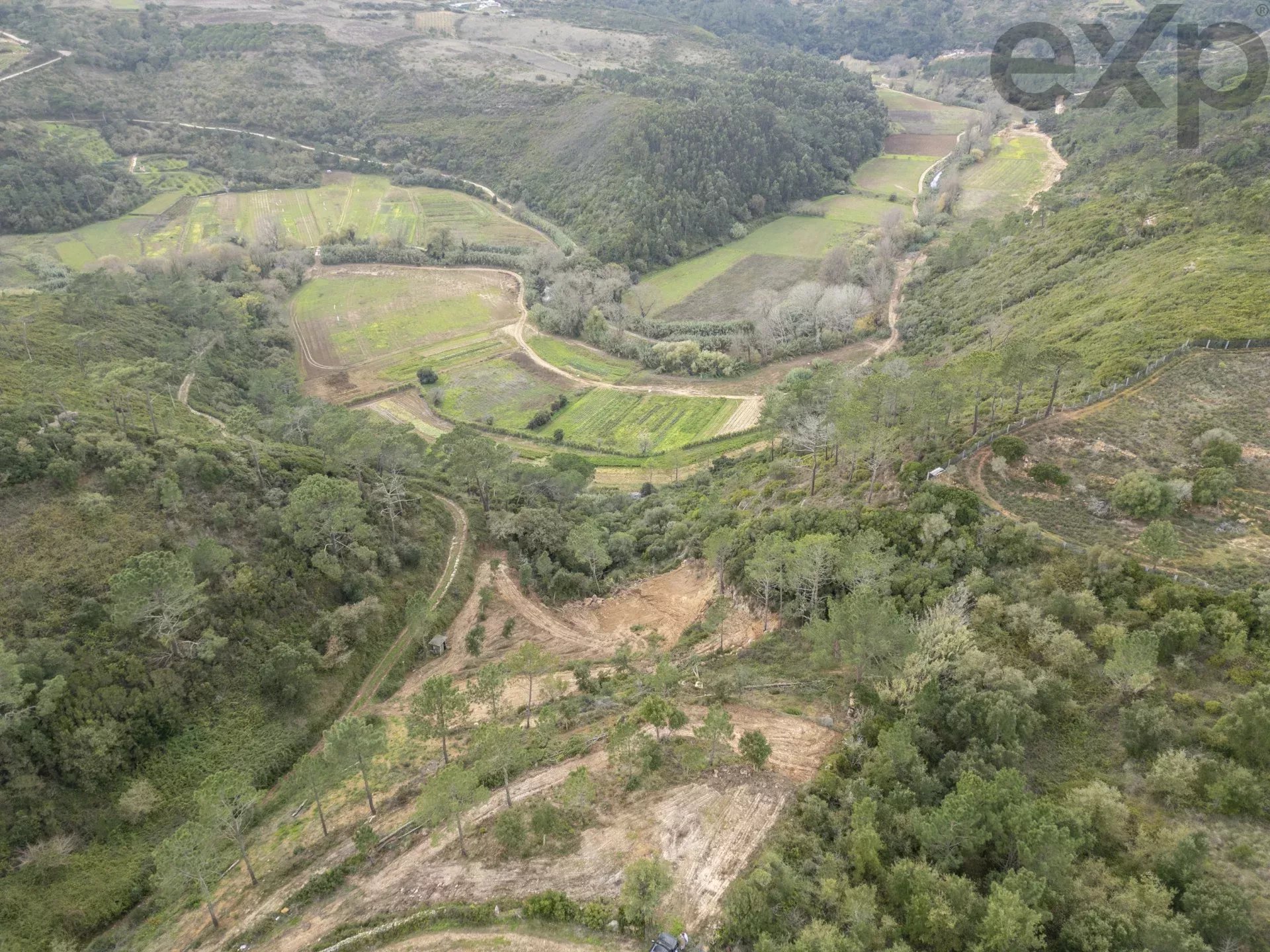 Vale da Pia - Montesouros