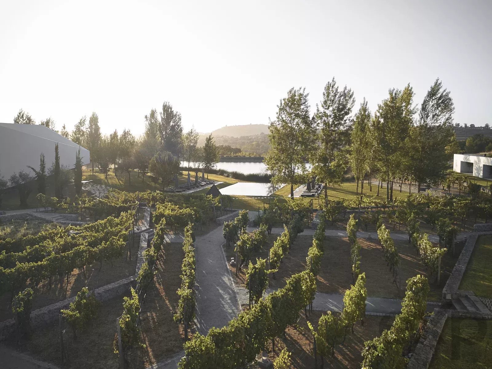 Empreendimento - L'AND VINEYARDS - Montemor-O-Novo