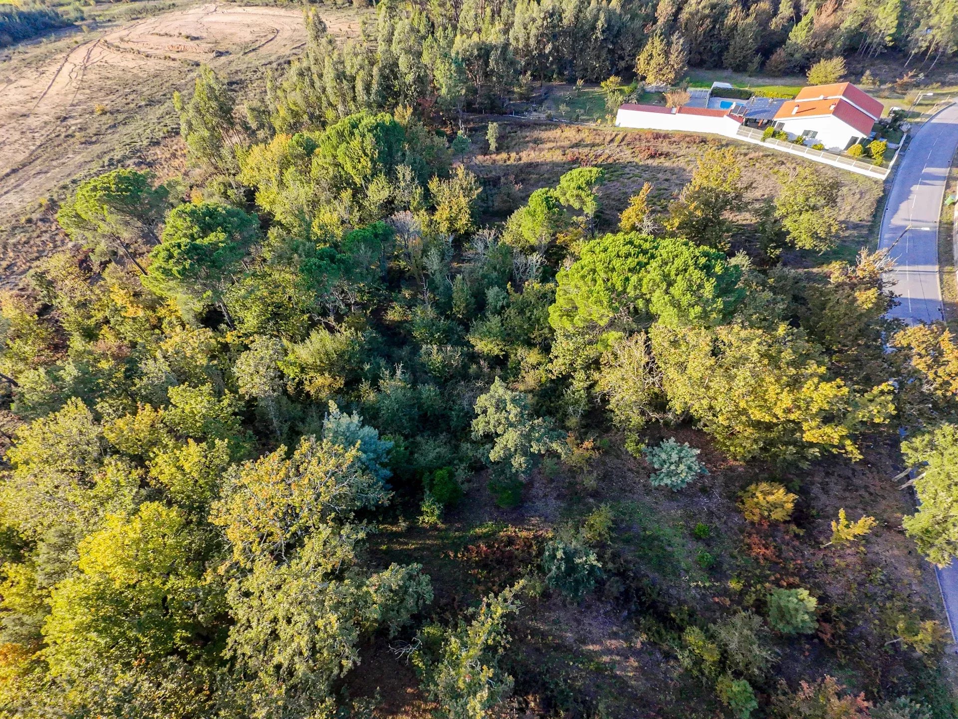 Terreno de 7.912 m2 com Viabilidade de Construção - Tábua