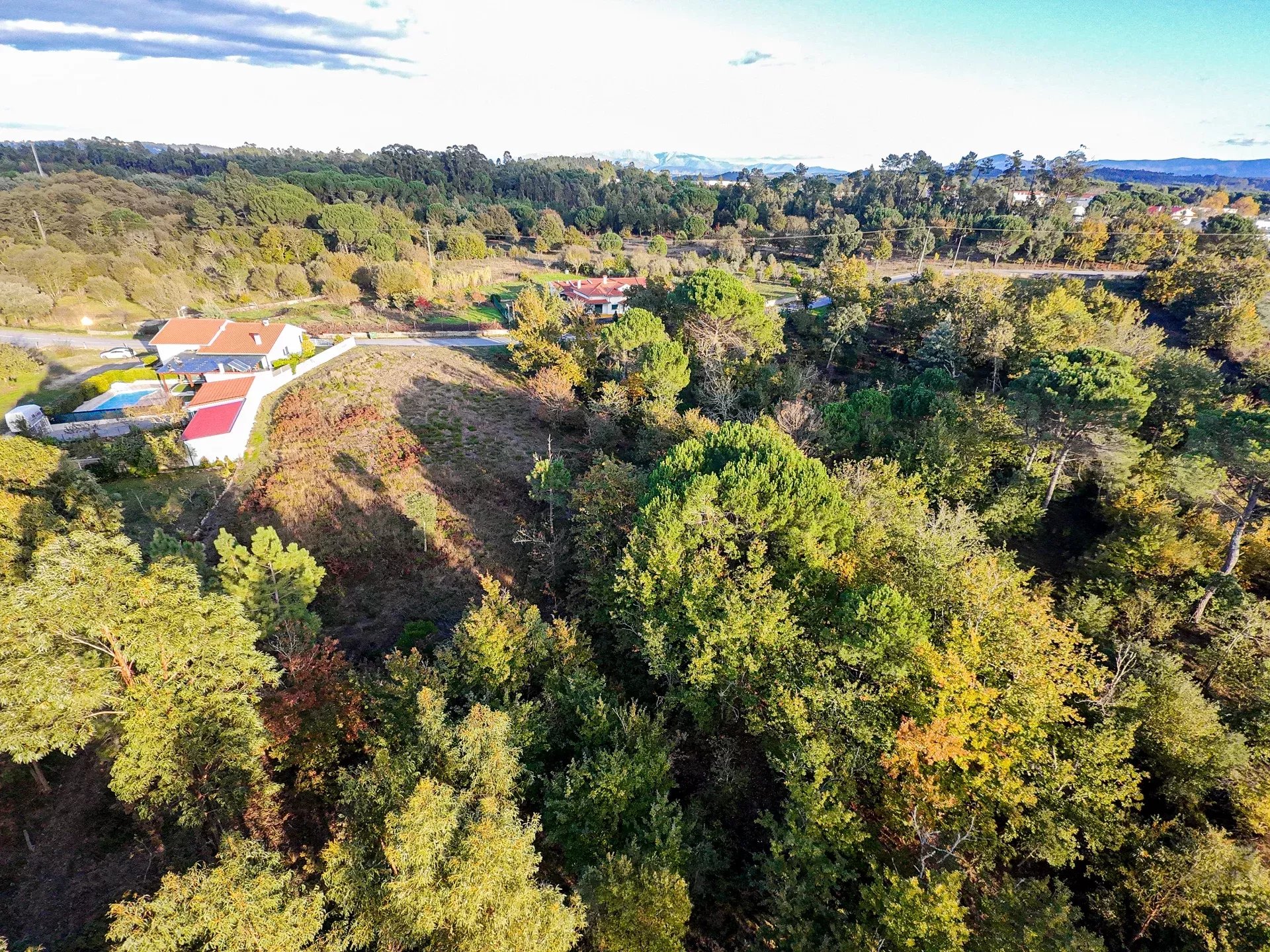 Terreno de 7.912 m2 com Viabilidade de Construção - Tábua