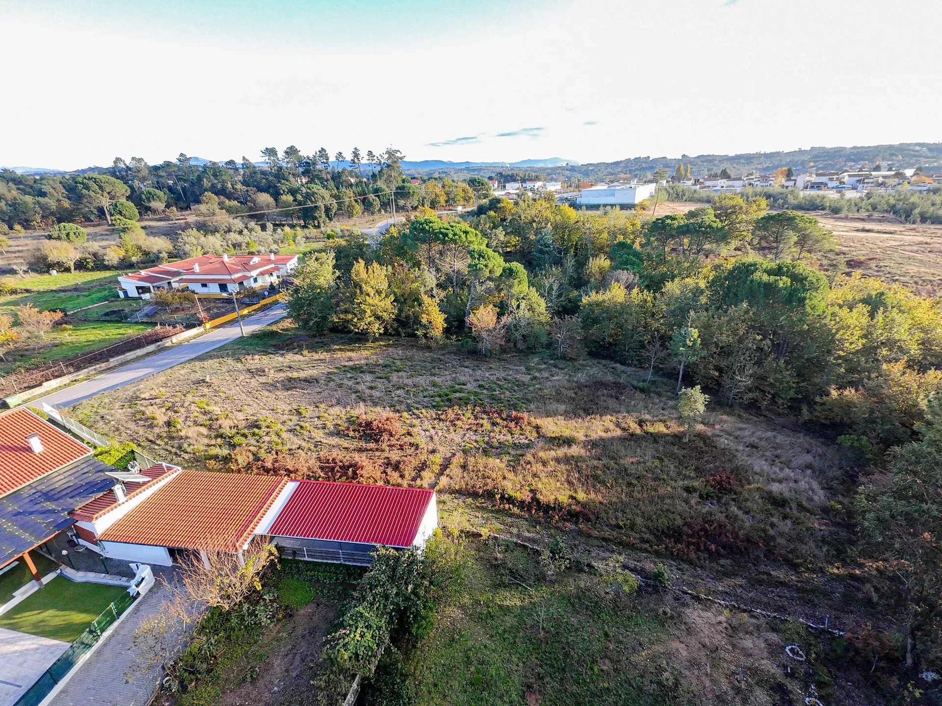 Terreno de 7.912 m2 com Viabilidade de Construção - Tábua