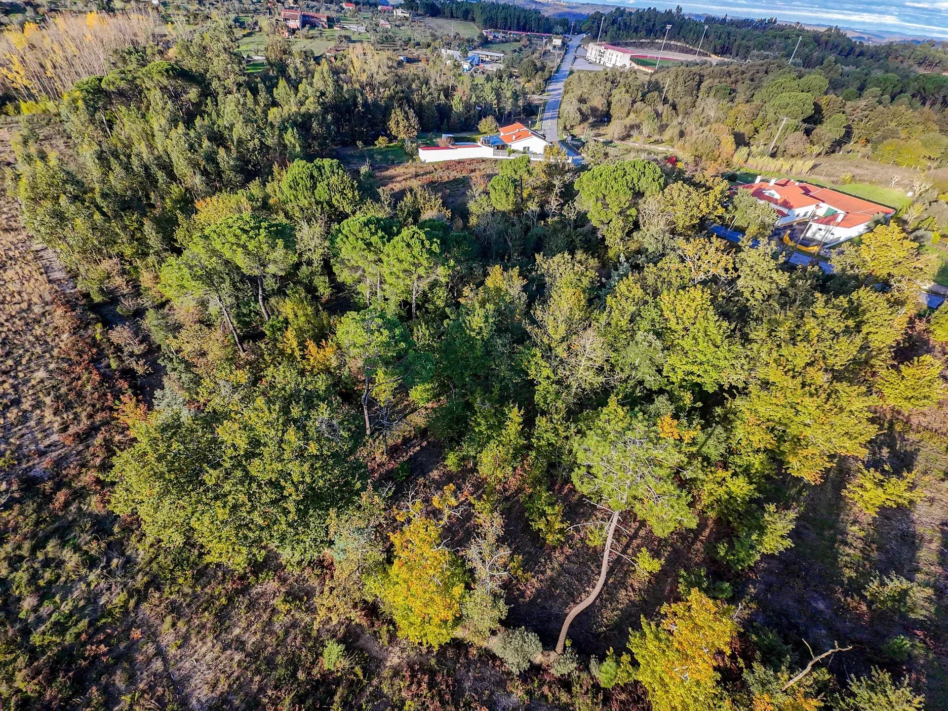 Terreno de 7.912 m2 com Viabilidade de Construção - Tábua
