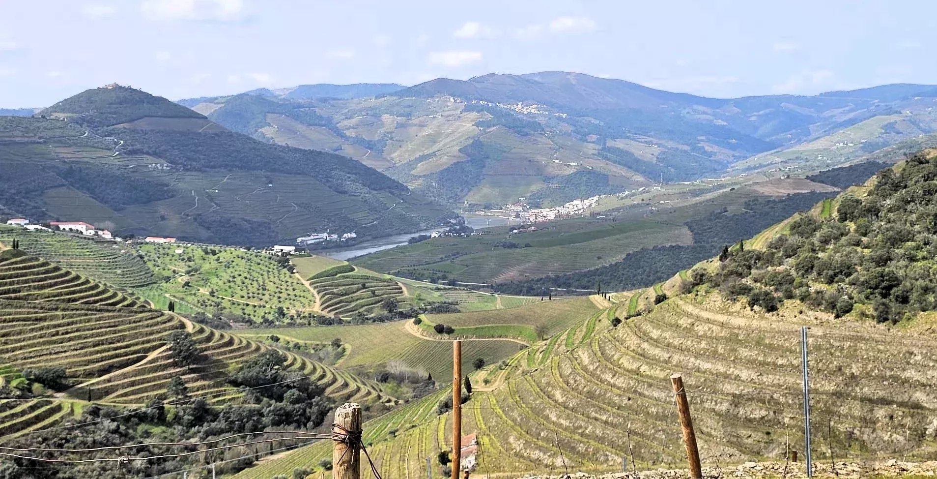 Terreno à venda em Ervedosa do Douro, 204338 m²