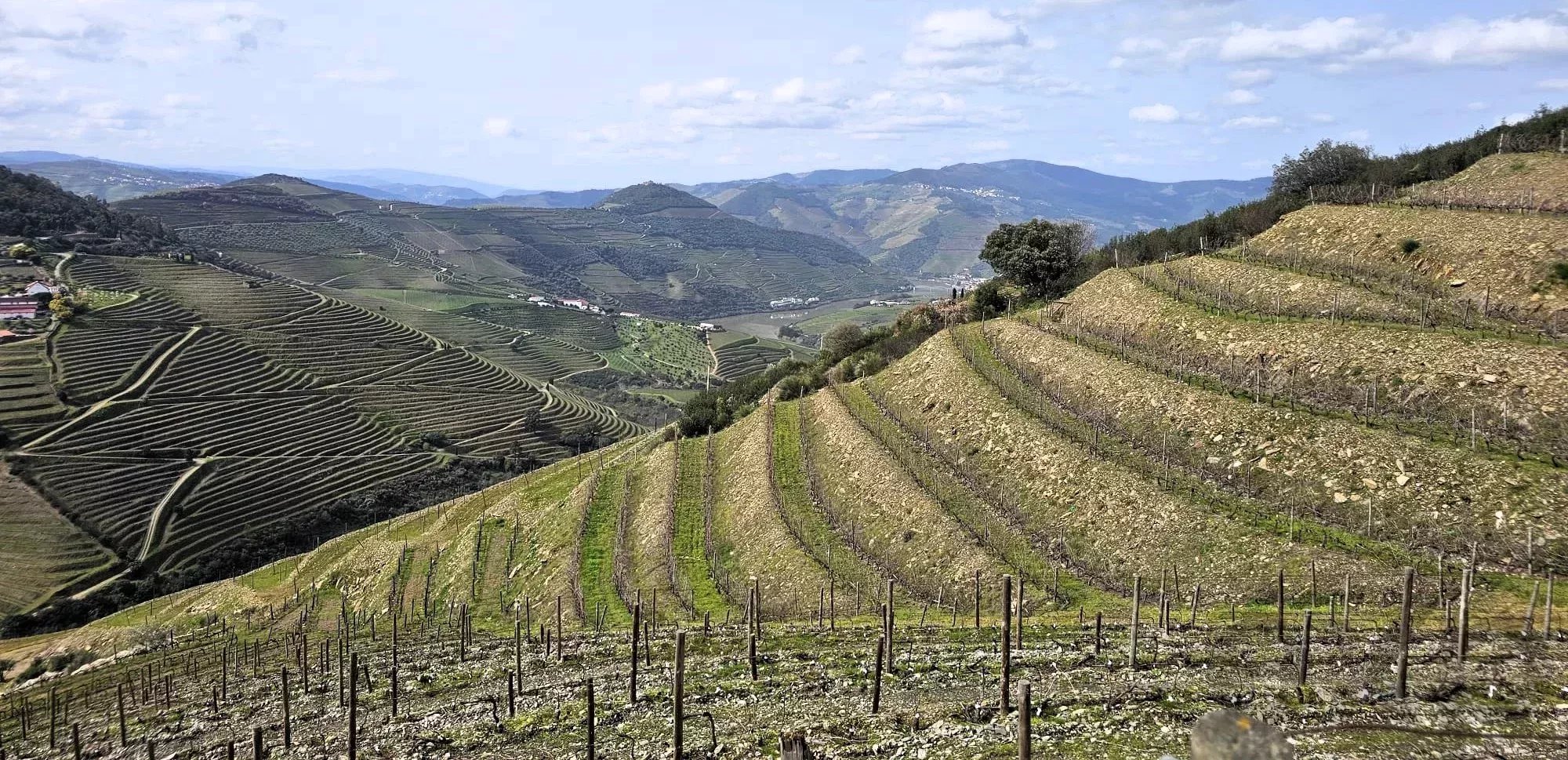 Terreno à venda em Ervedosa do Douro, 204338 m²