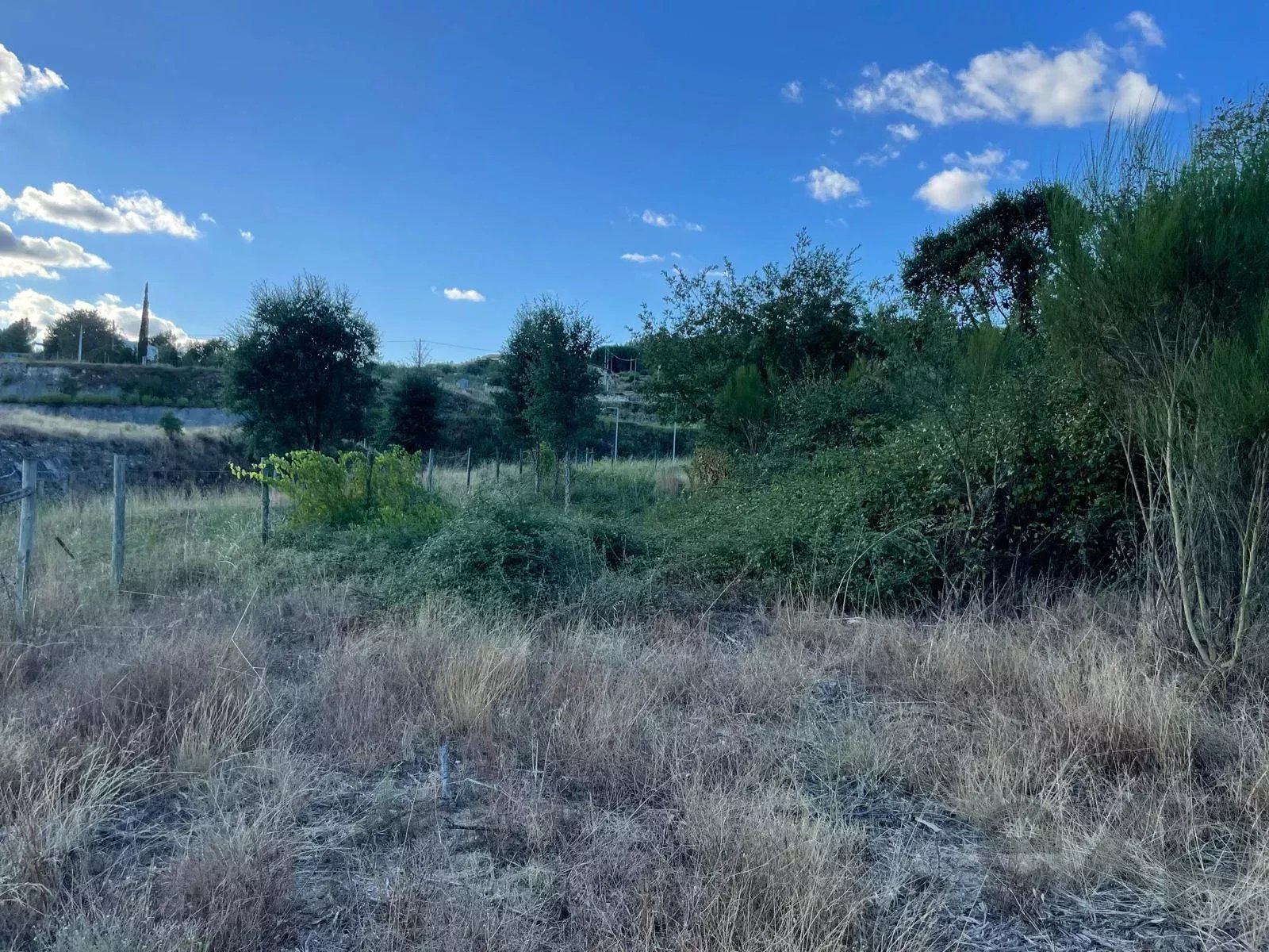 Enchanting Natural Land in Fornos de Algodres, Portugal 4