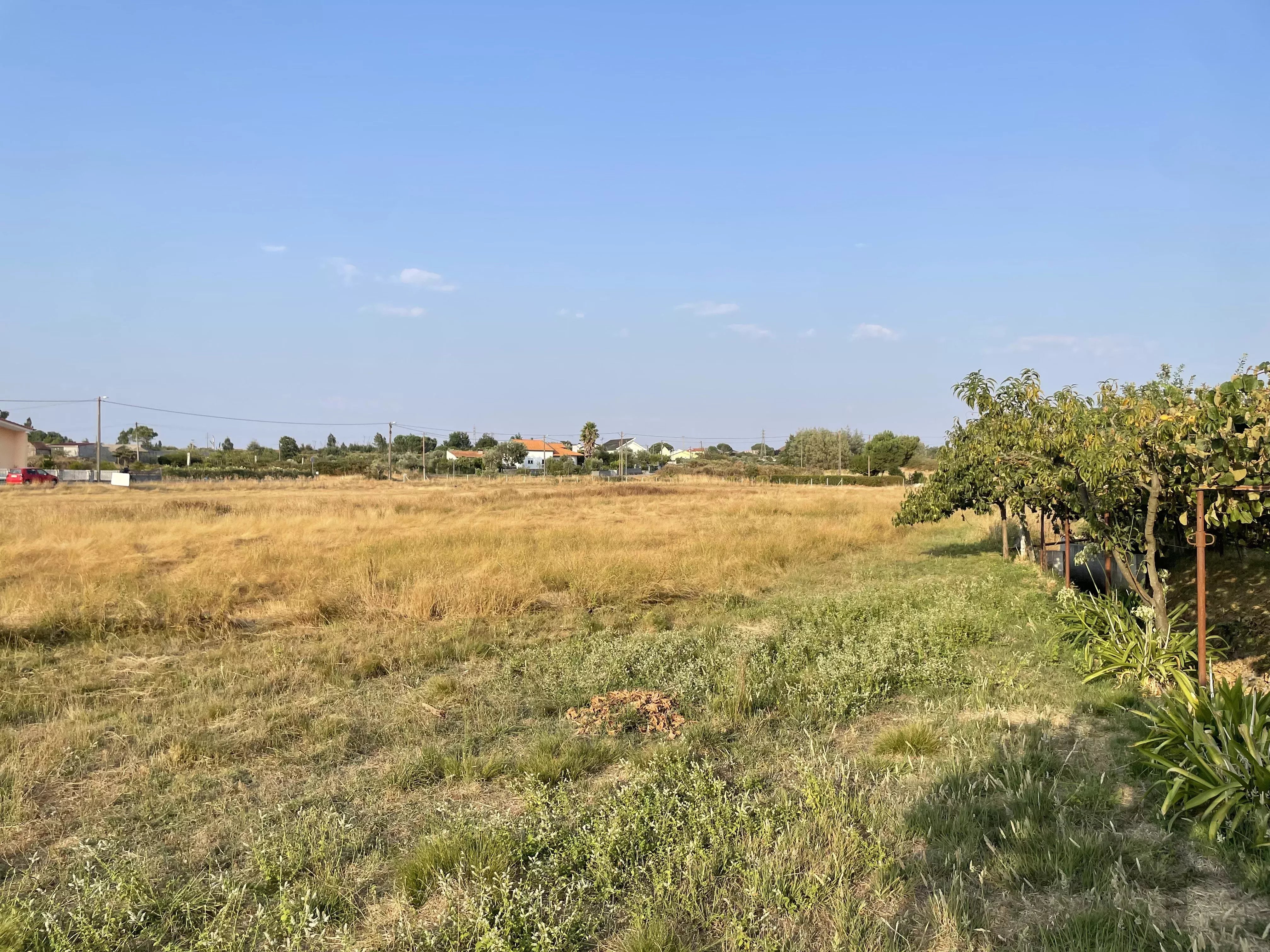 Terreno Agrícola para venda em Vila Verde, Seia
