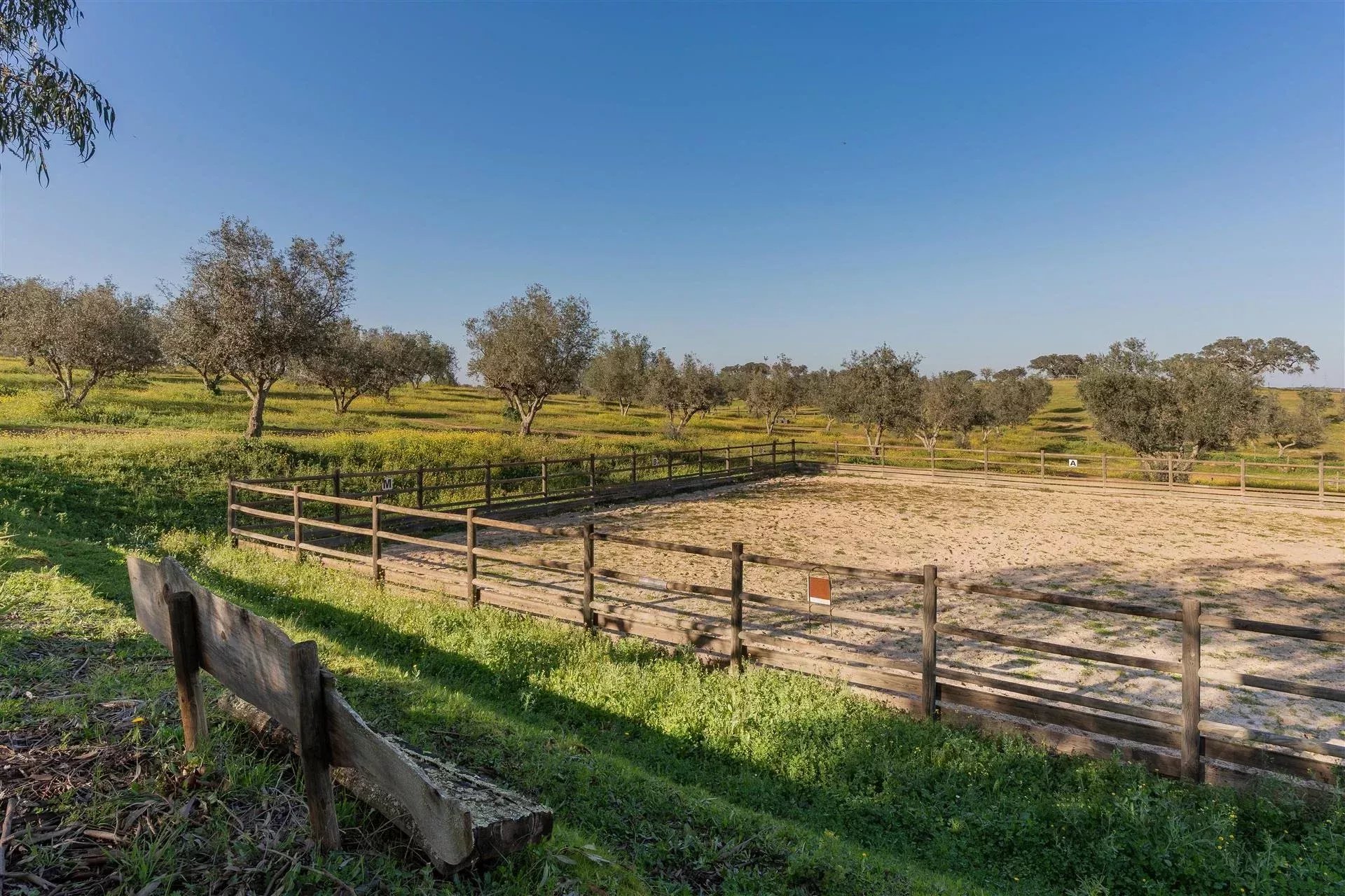 Private property, Equine Centre 86637172 image 48