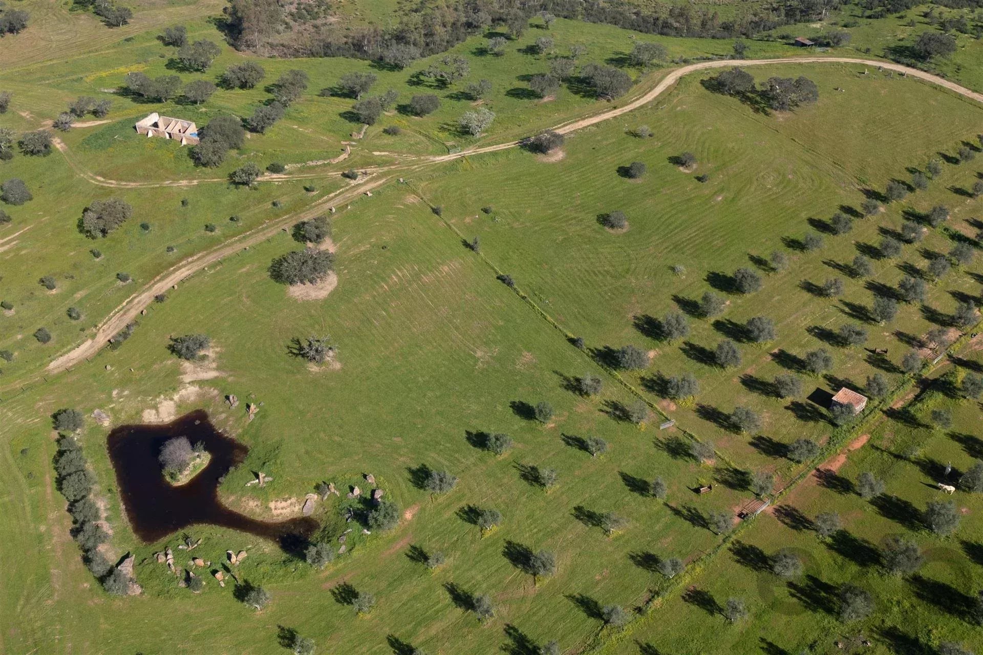 Private property, Equine Centre 86637172 image 42